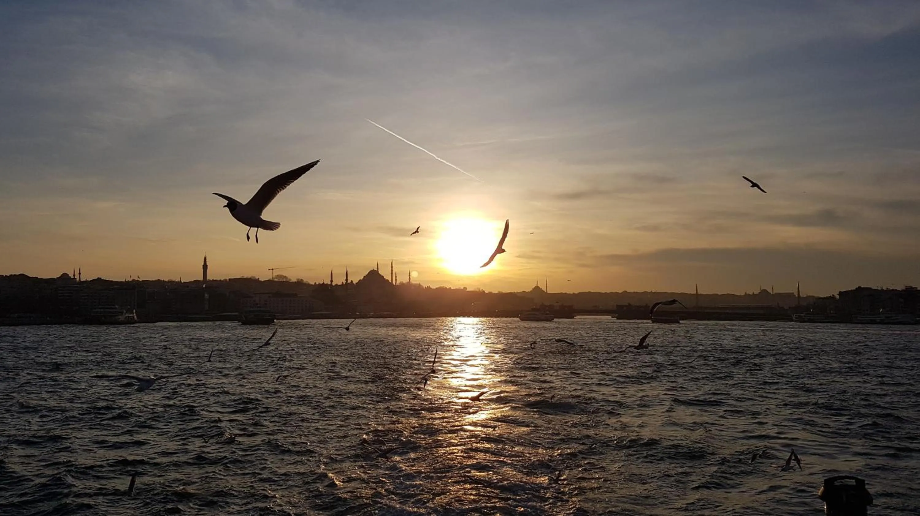 Neighbourhood in Hotel Peninsula