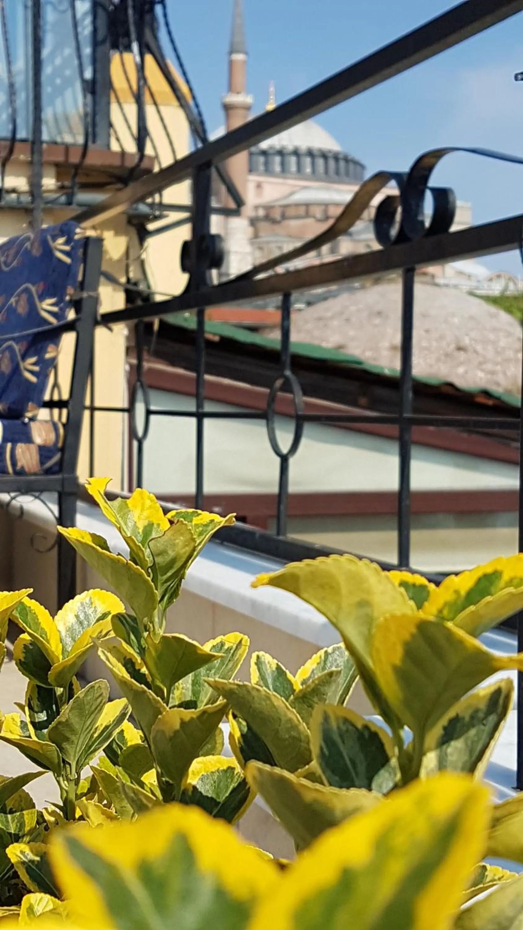 Balcony/Terrace in Hotel Peninsula