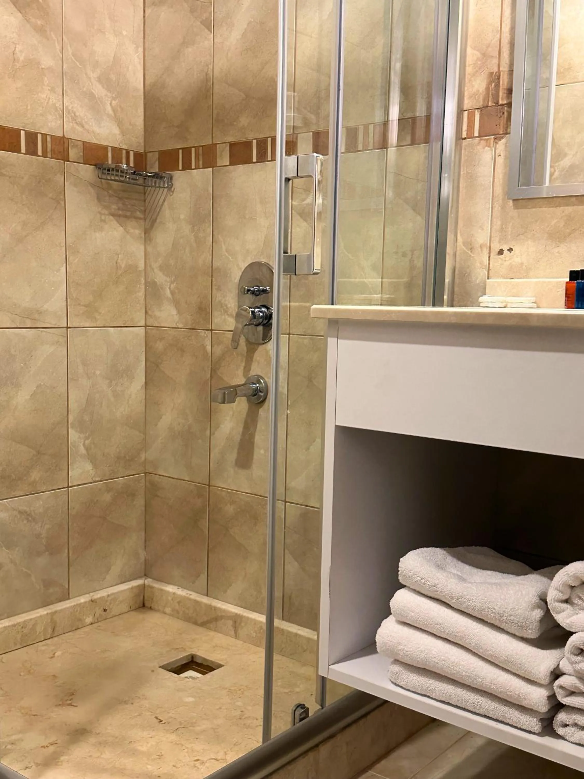 Shower in Hotel Peninsula