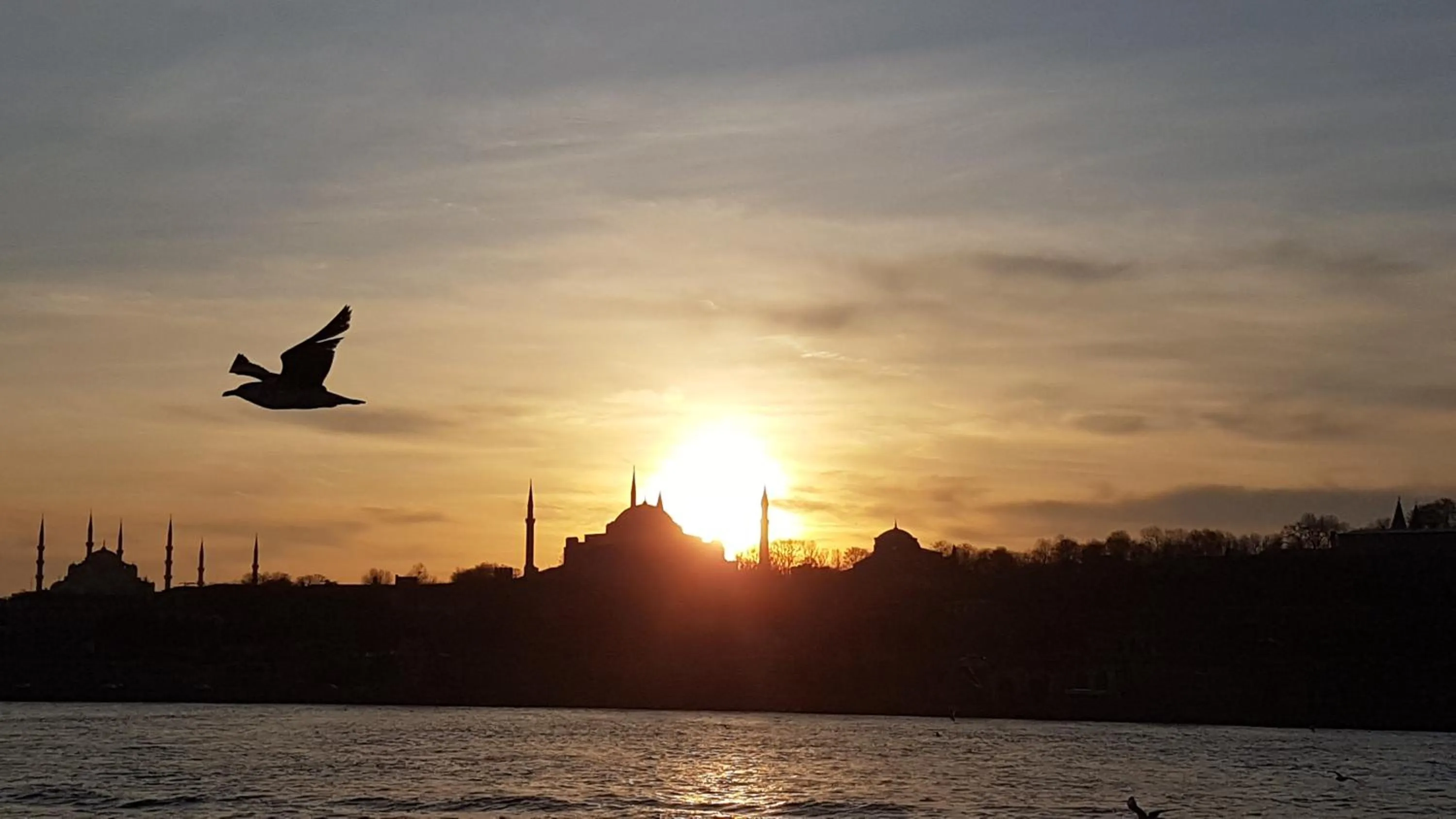 Neighbourhood in Hotel Peninsula