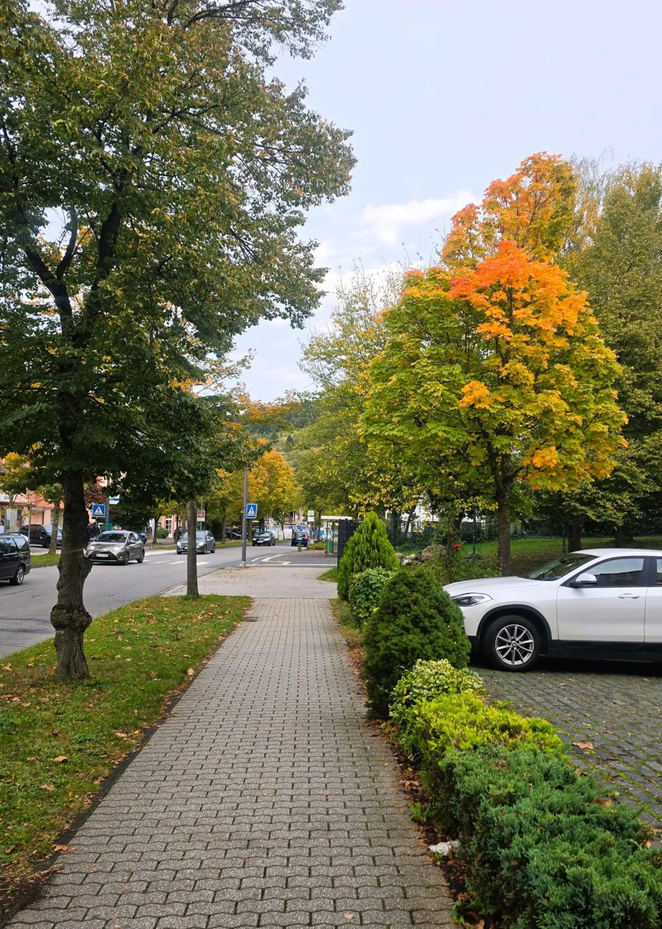 Neighbourhood in Hotel zur Moselbrücke