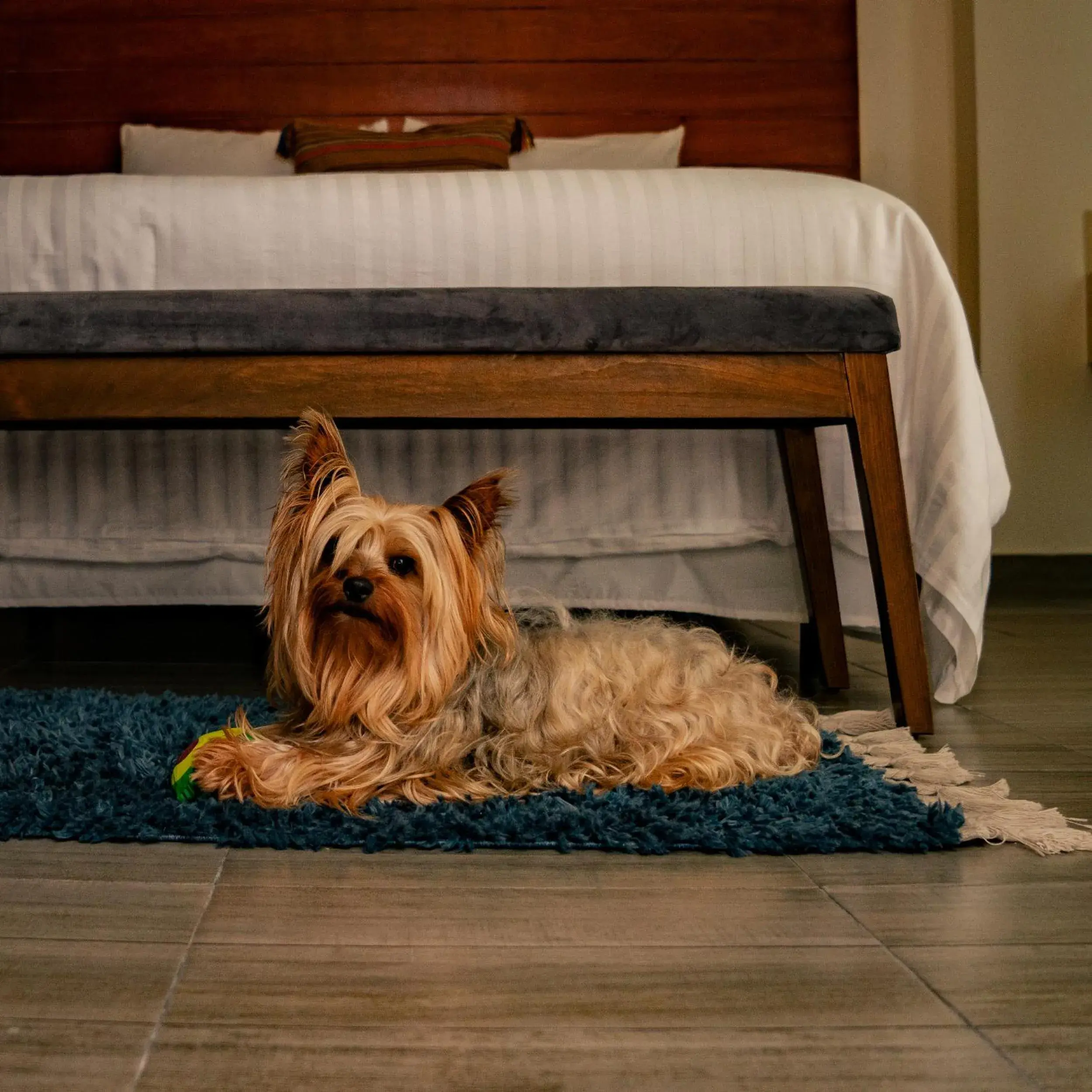 Deluxe King Studio in Na Hotel Deluxe King Studio in Na Hotel