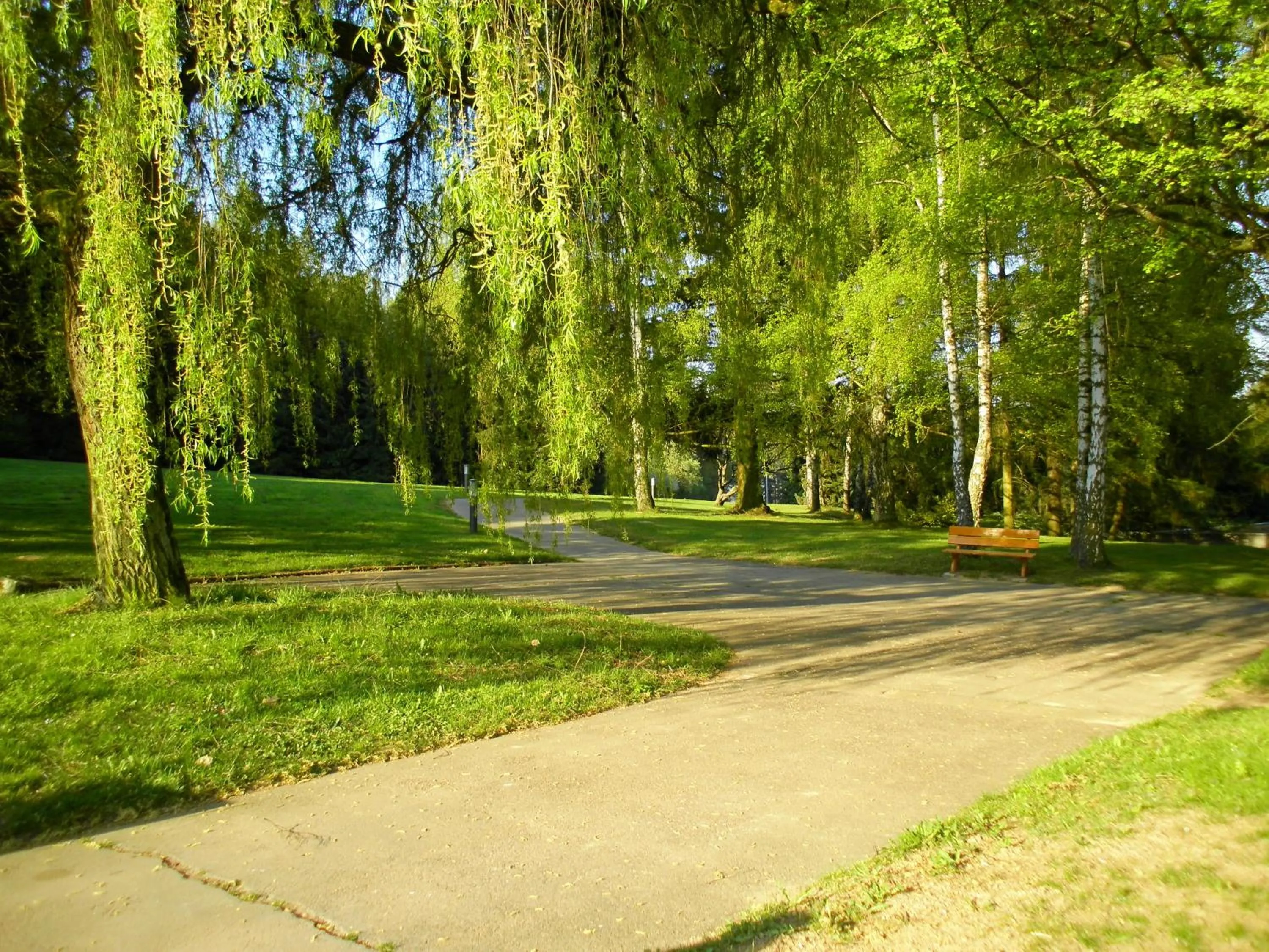 Garden in Sporthotel Grünberg