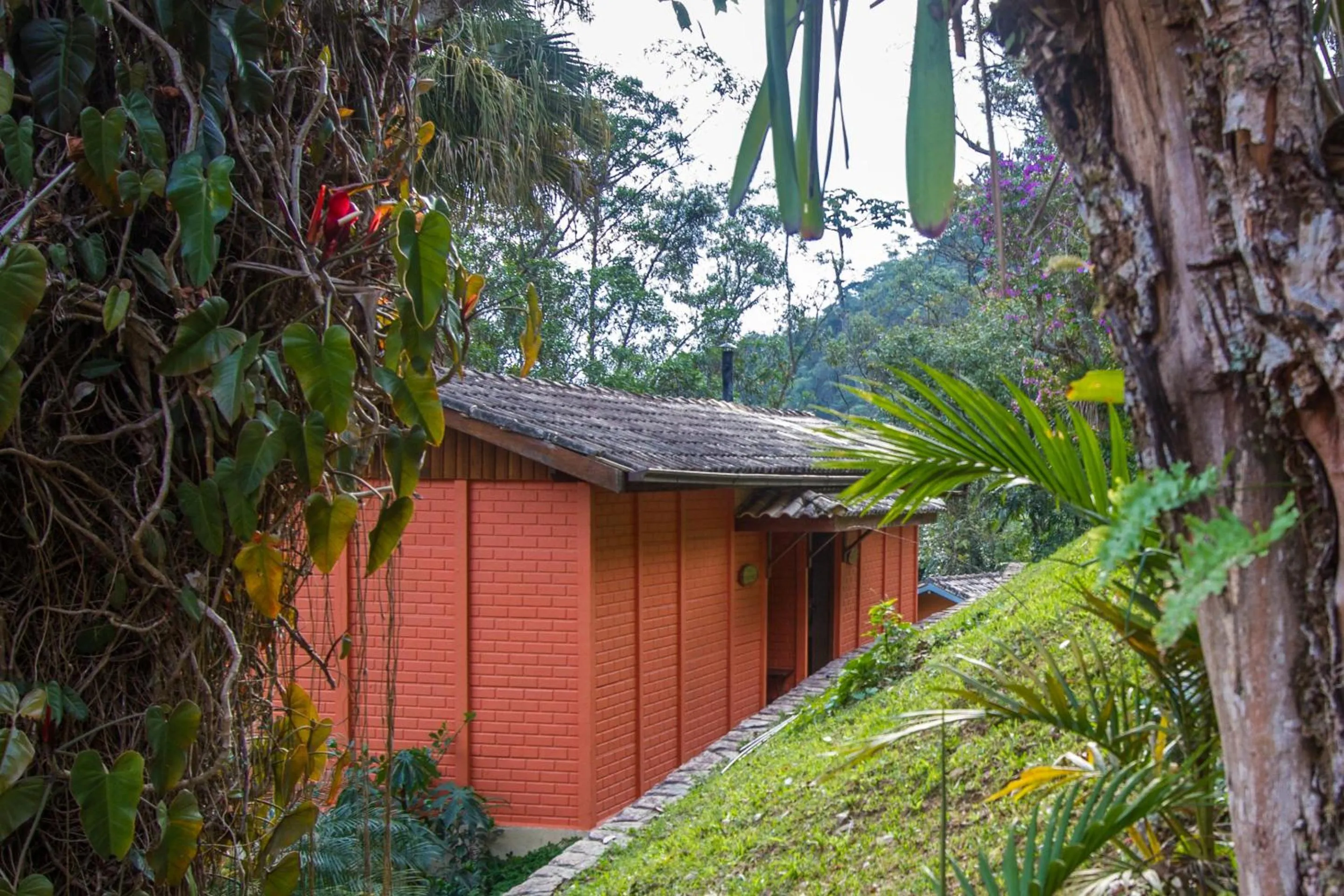 Garden view in POUSADA APOEMA PETRÓPOLIS-Rj
