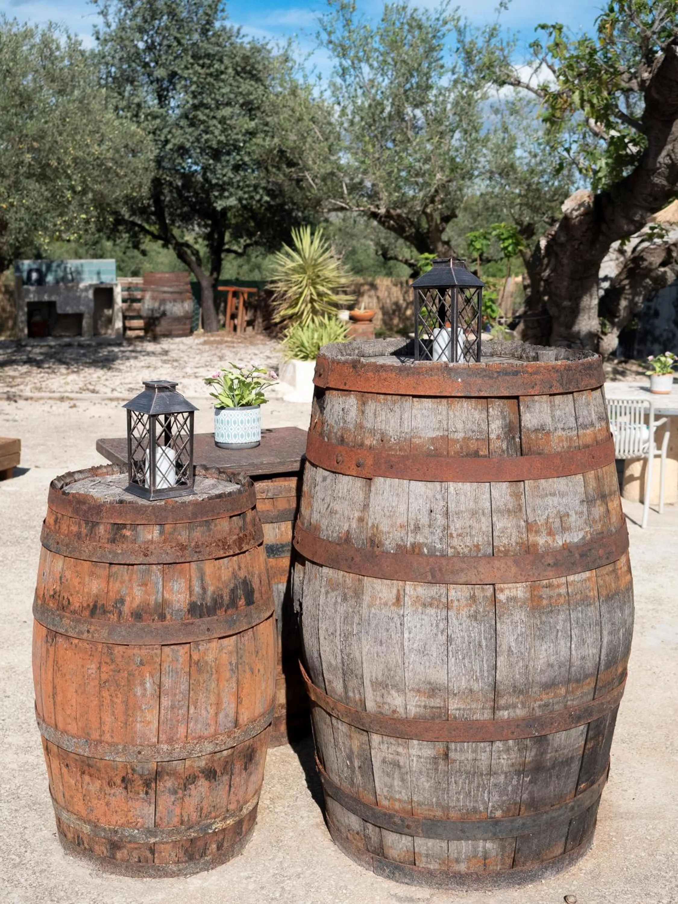Garden in B&B Casa Vitalidad