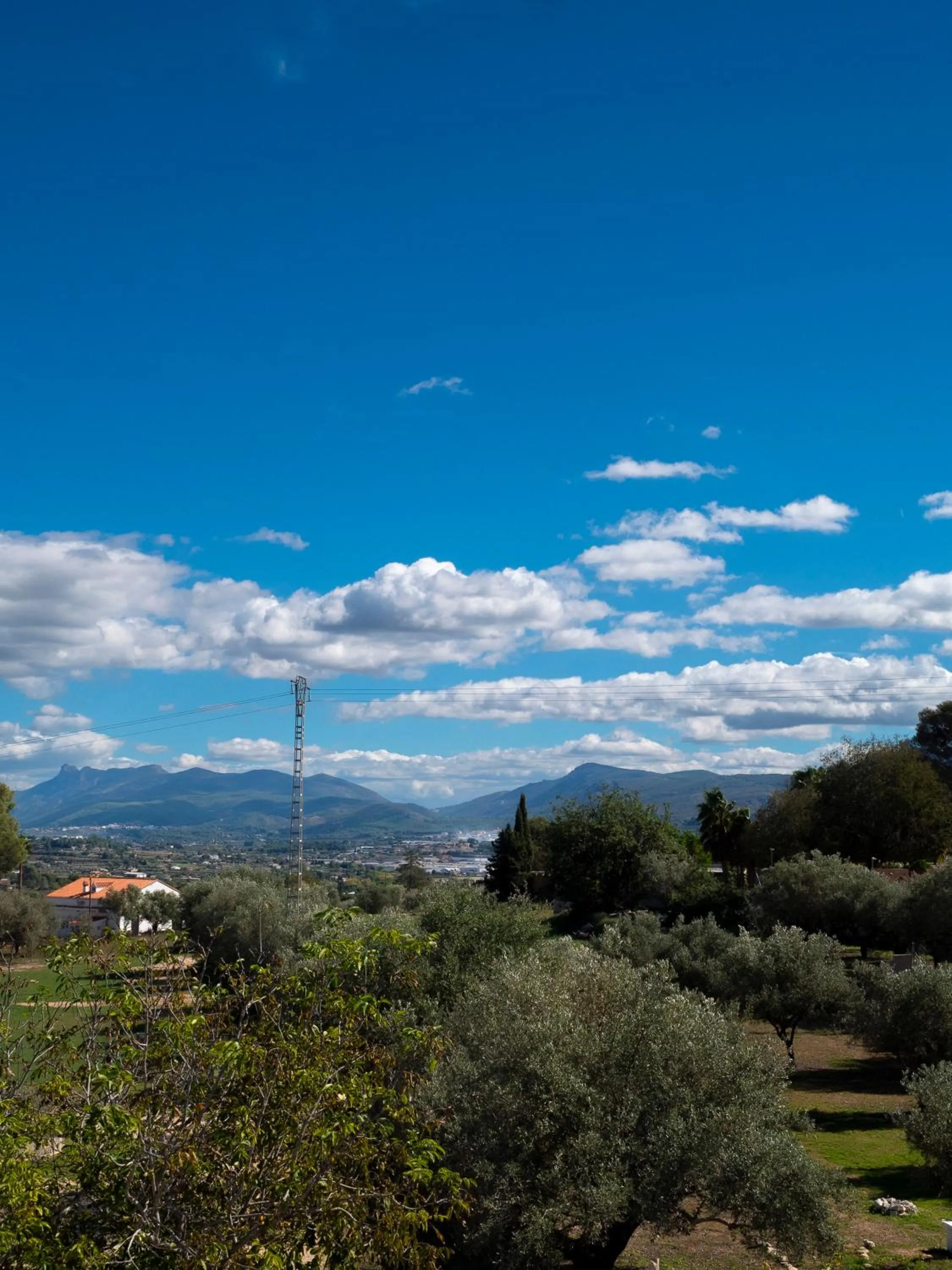 View (from property/room) in B&B Casa Vitalidad