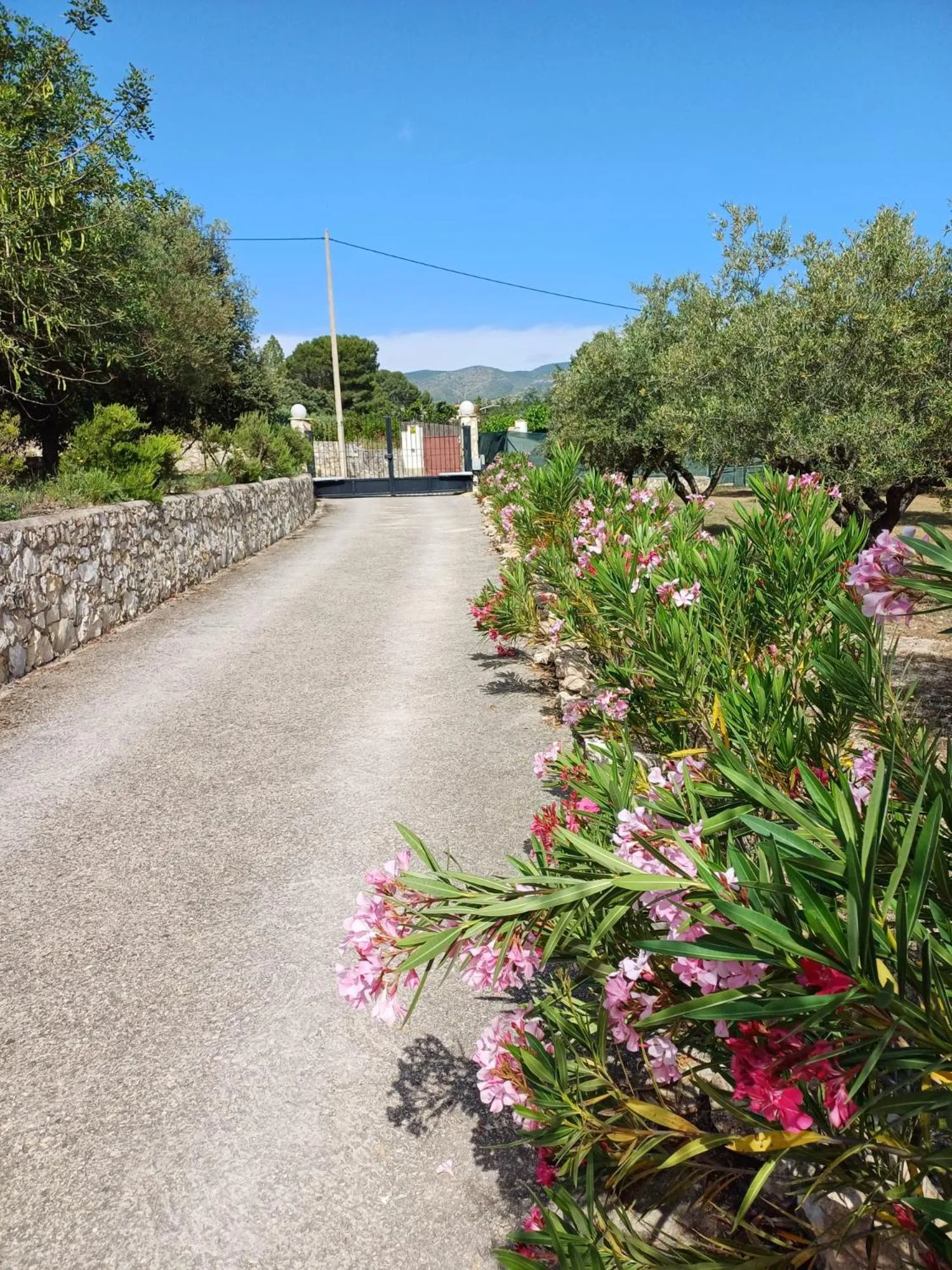 Garden view in B&B Casa Vitalidad