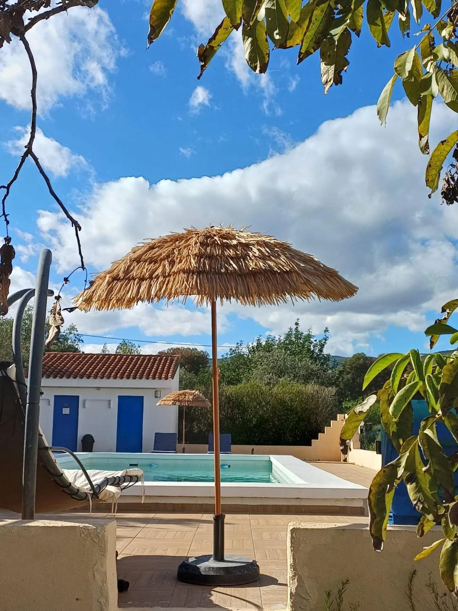 Pool view in B&B Casa Vitalidad