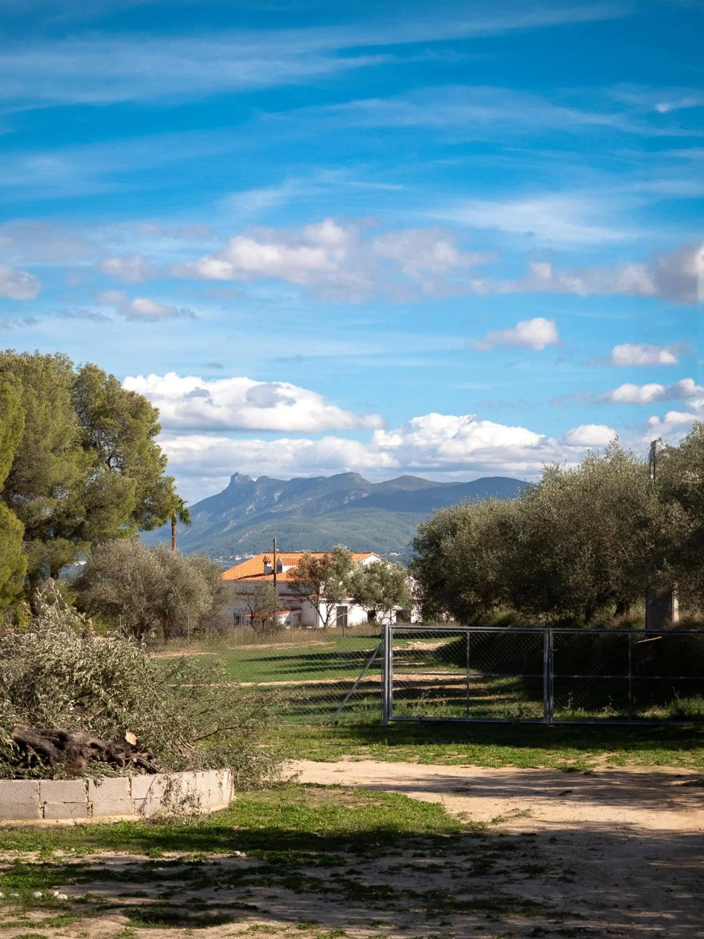 View (from property/room) in B&B Casa Vitalidad