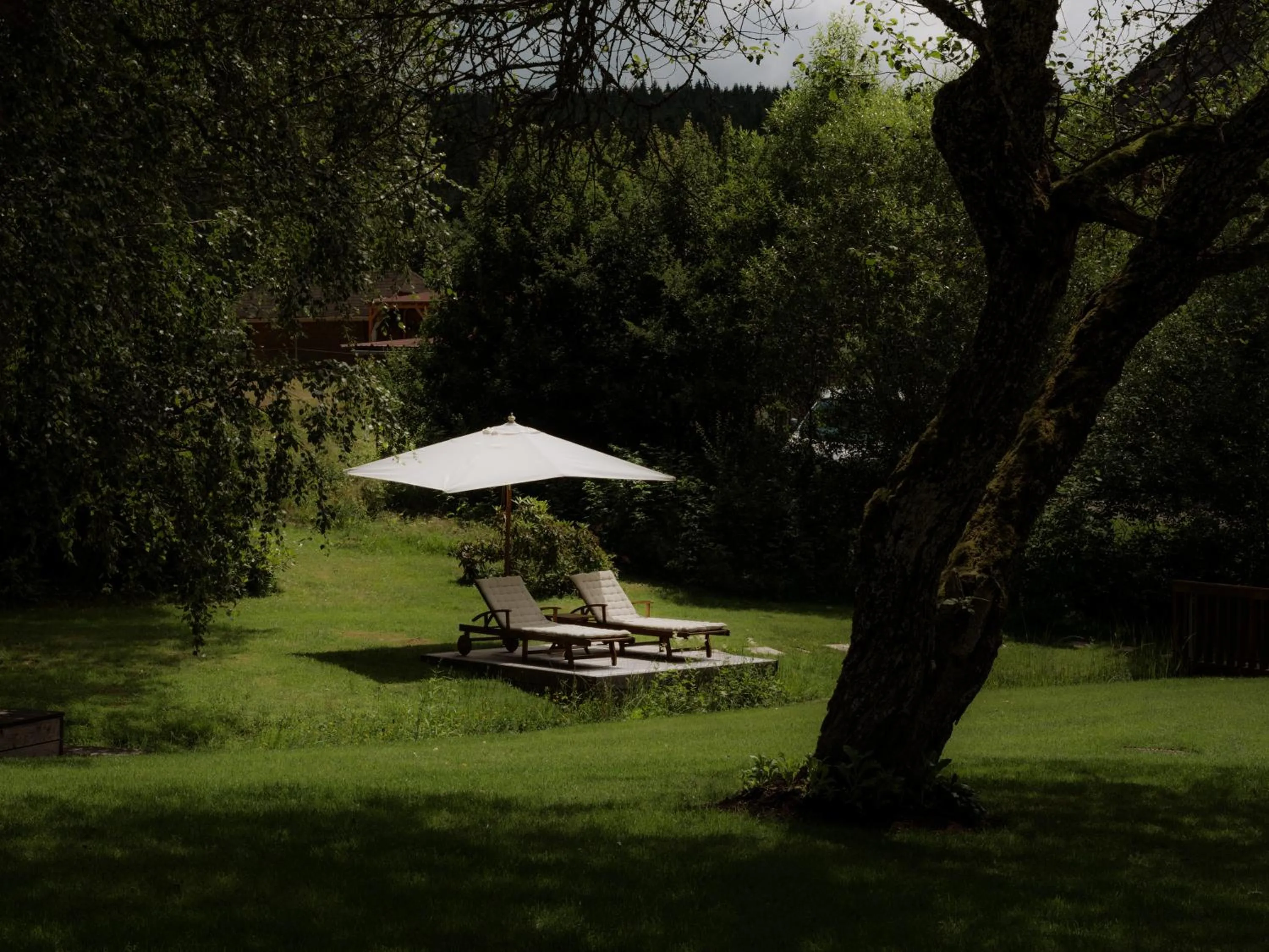 Garden in Boutique Hotel Mühle Schluchsee