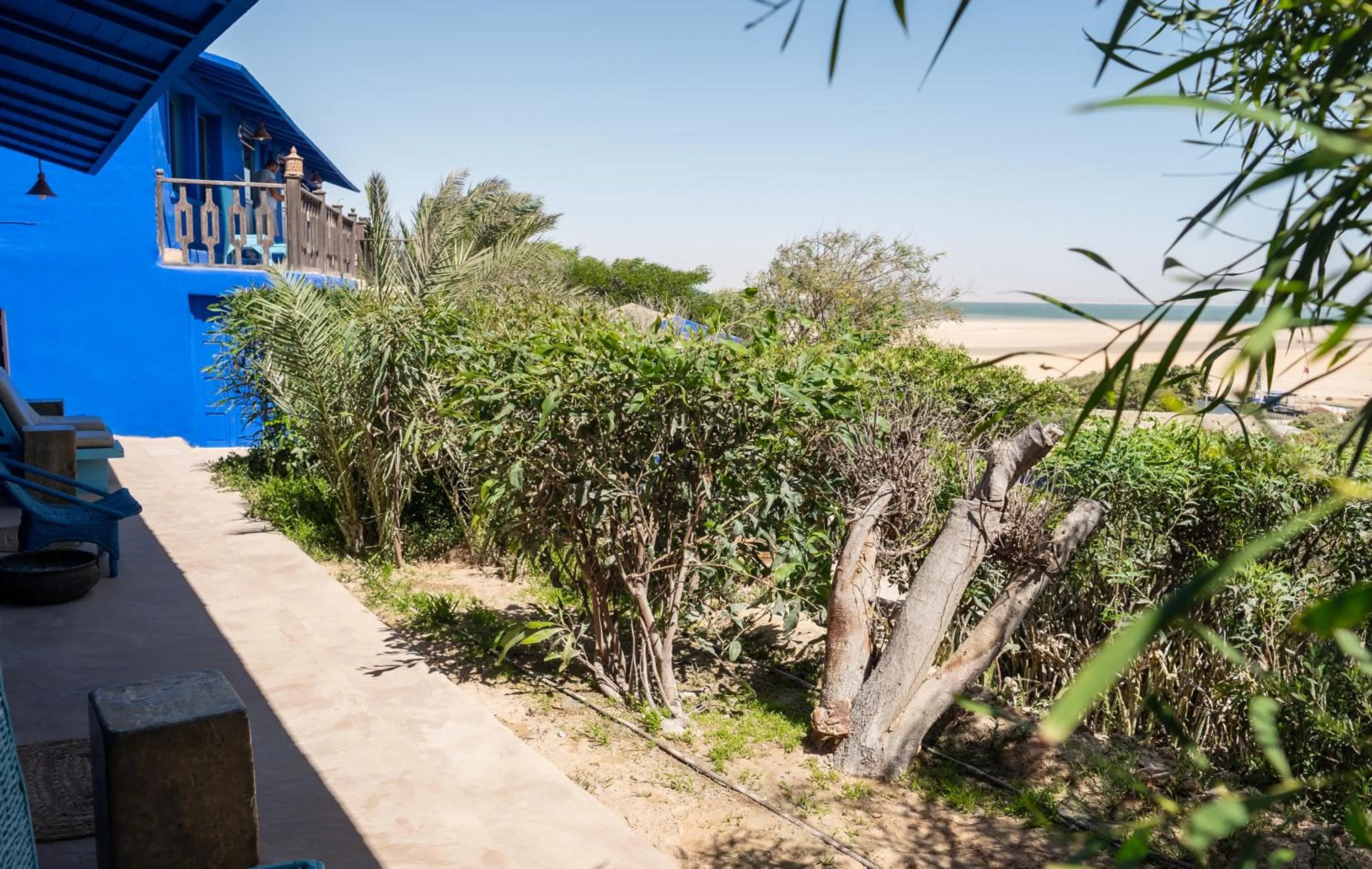 Garden in Dakhla Attitude