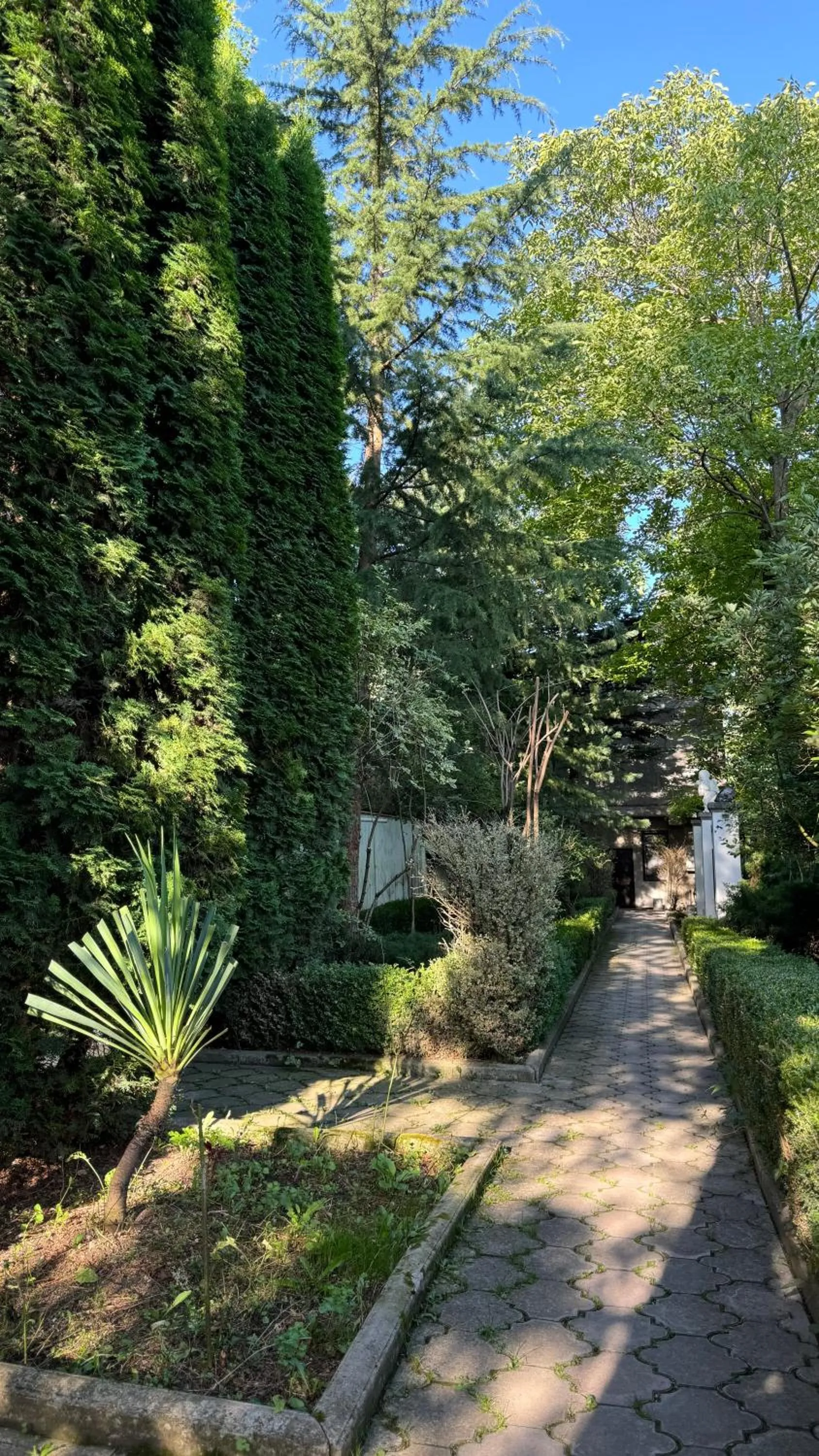 Natural landscape in Casanova Inn - Boutique Hotel