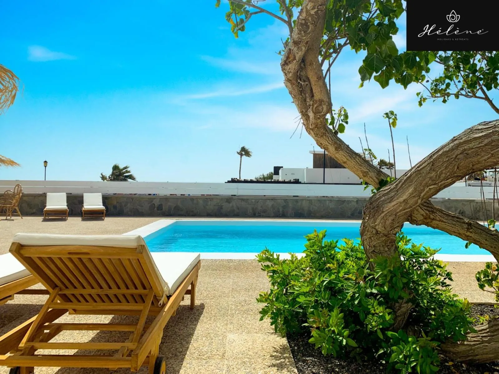 Garden in Hélène Holidays - Hotel Boutique