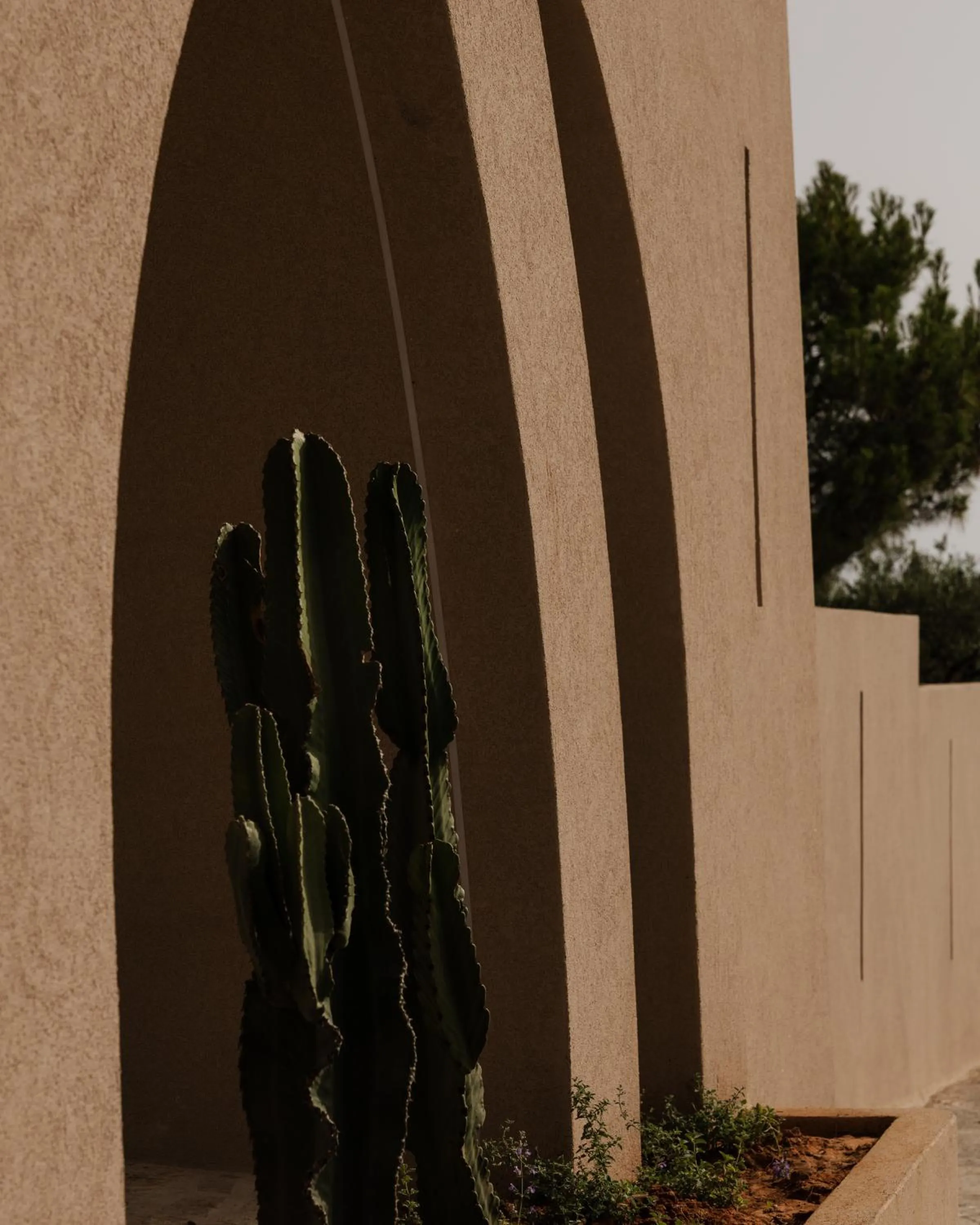 Decorative detail in Momi Slow Living Hotel