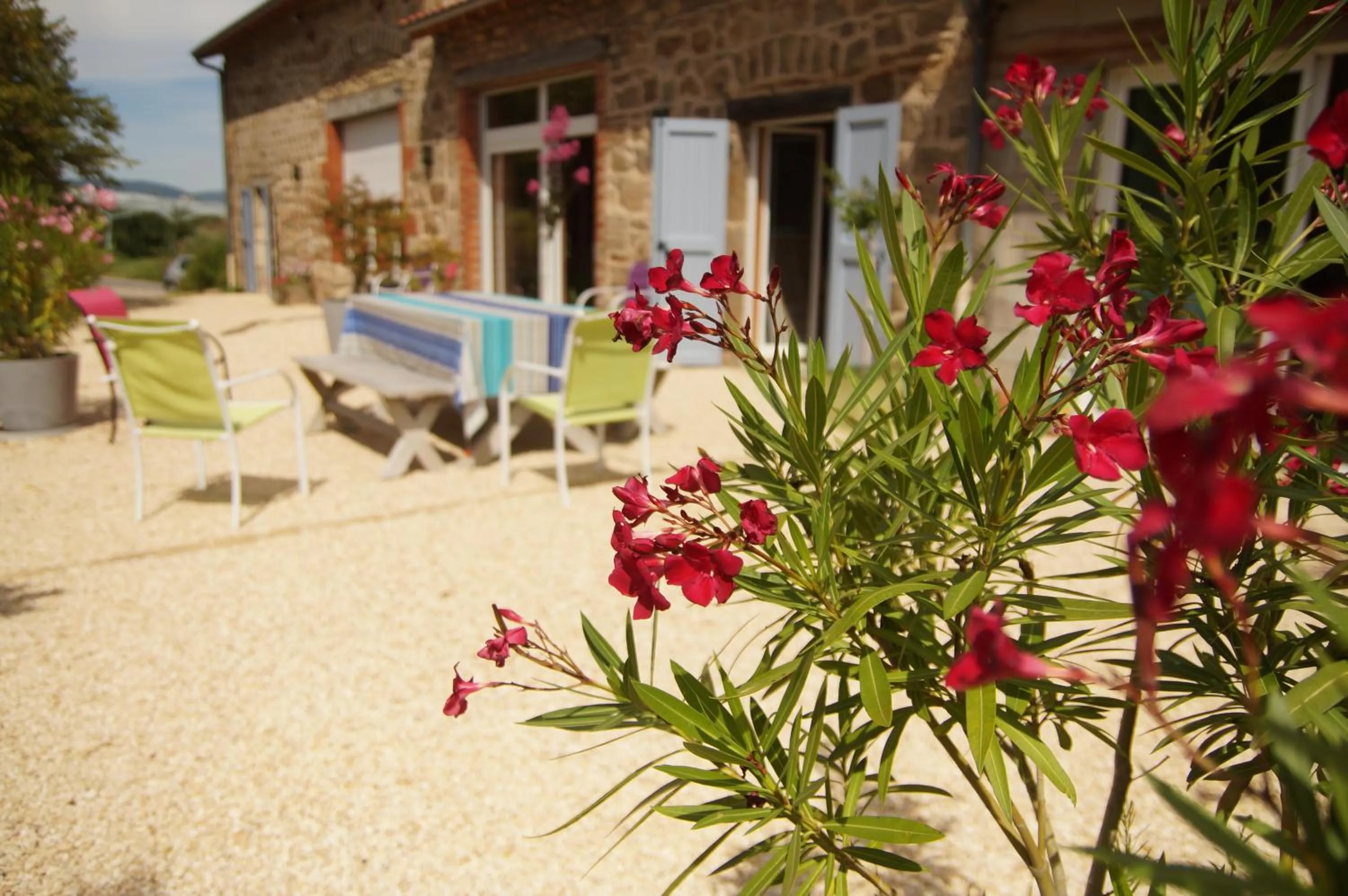 Balcony/Terrace in Le Grand Noë