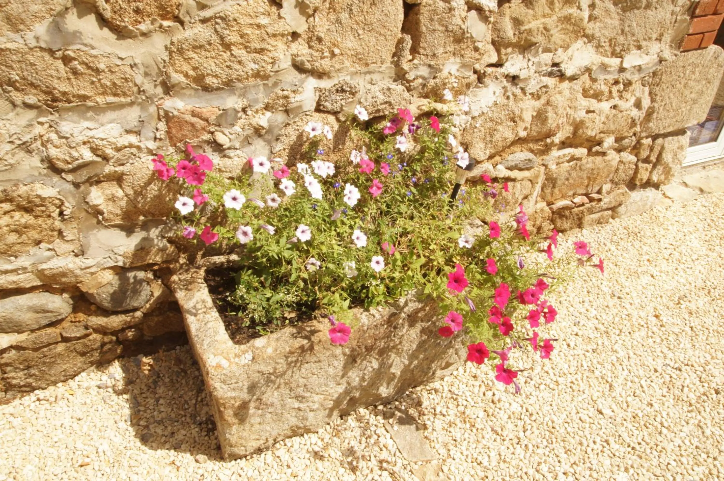 Balcony/Terrace in Le Grand Noë