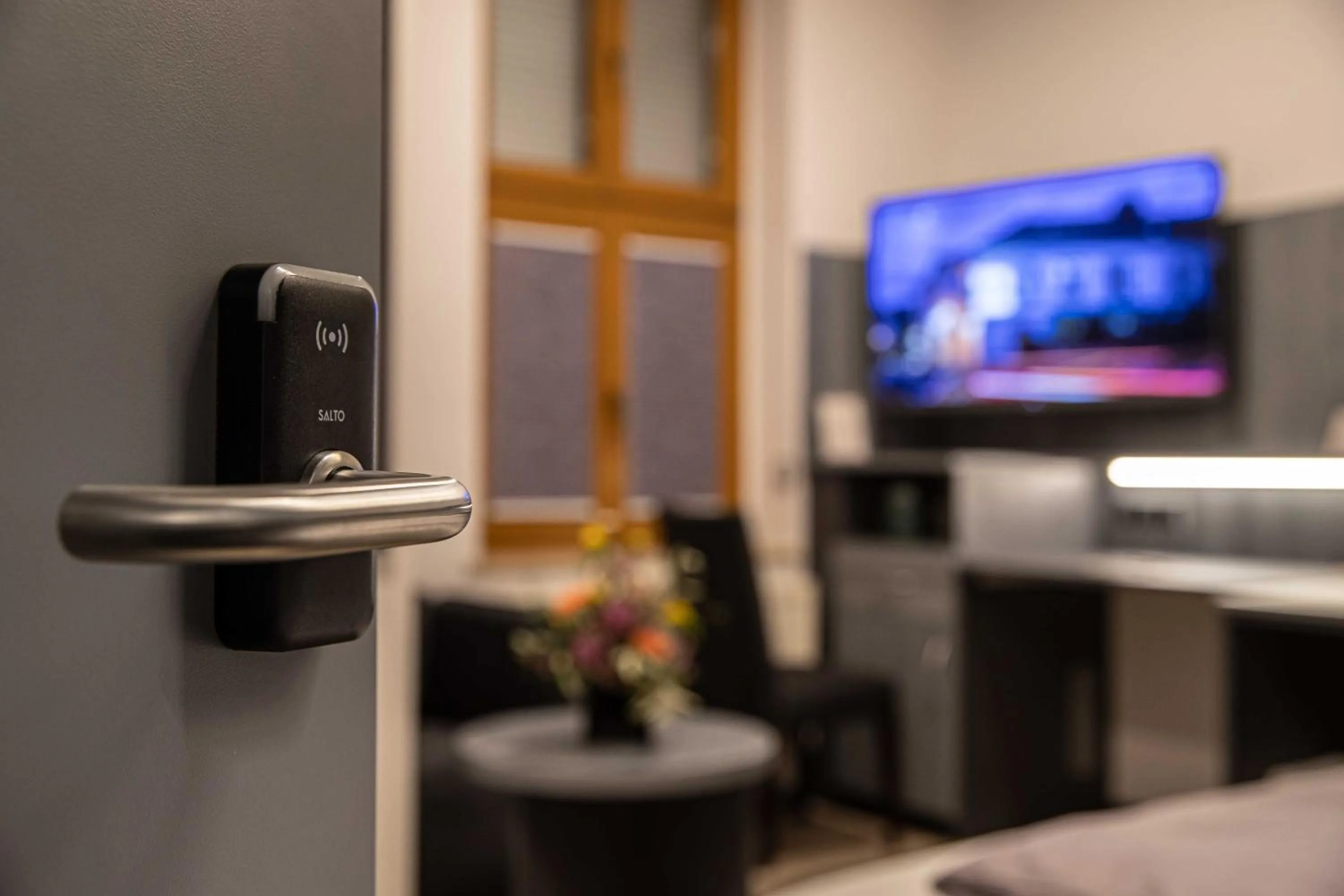 TV and multimedia in Parkhotel Plauen