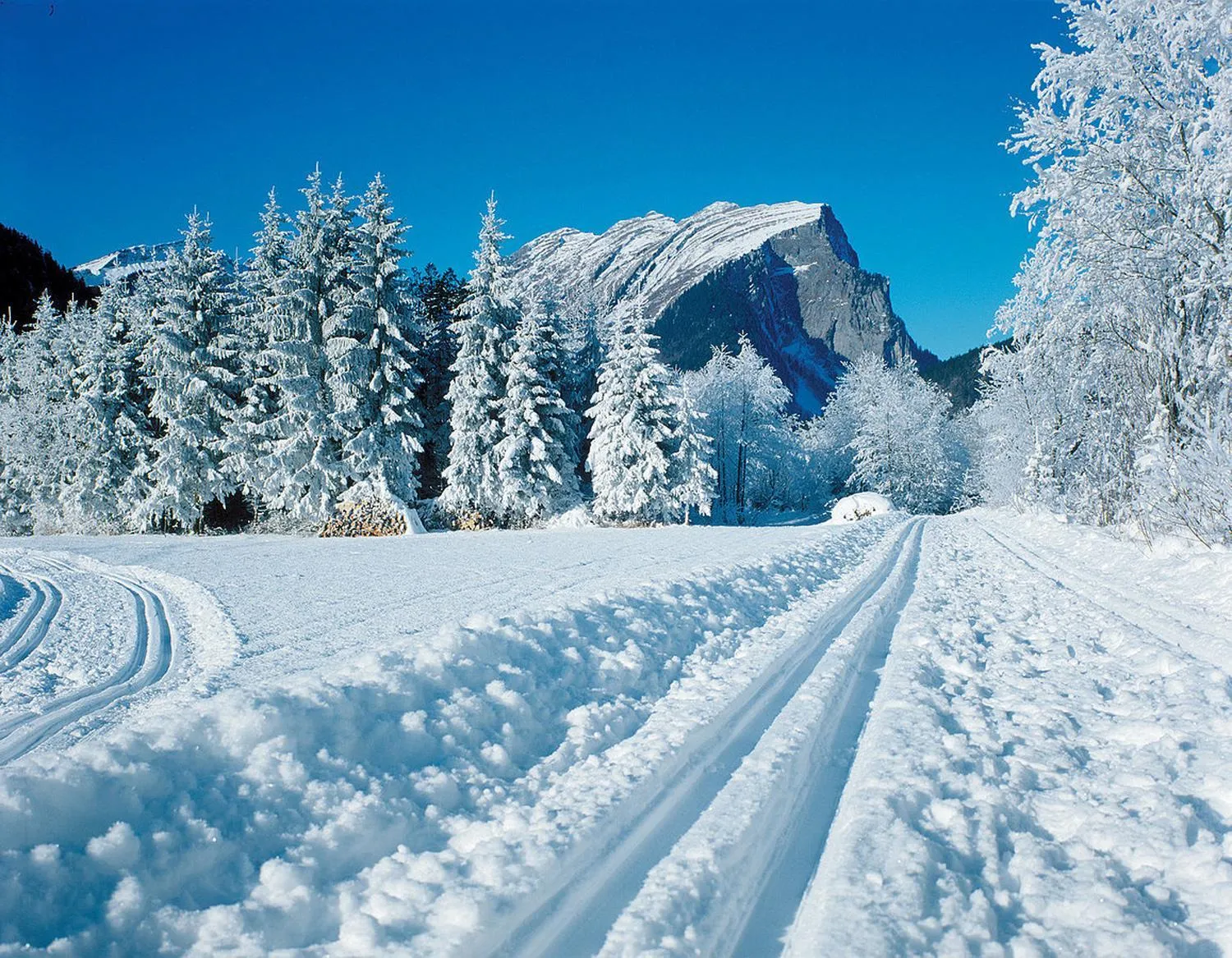 Natural landscape in Hirschen Wohlfühlhotel Bregenzerwald