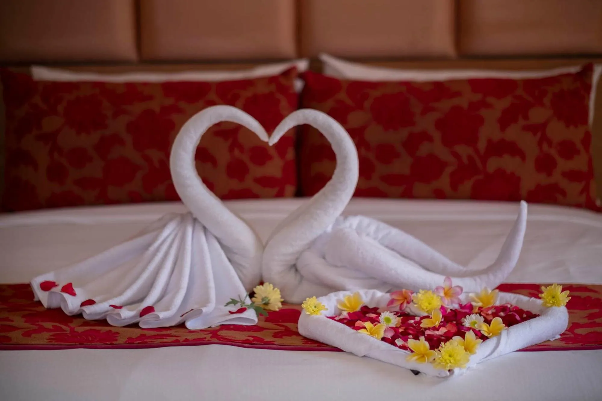 Bed in Kutus Kutus Estuary Saba Beach