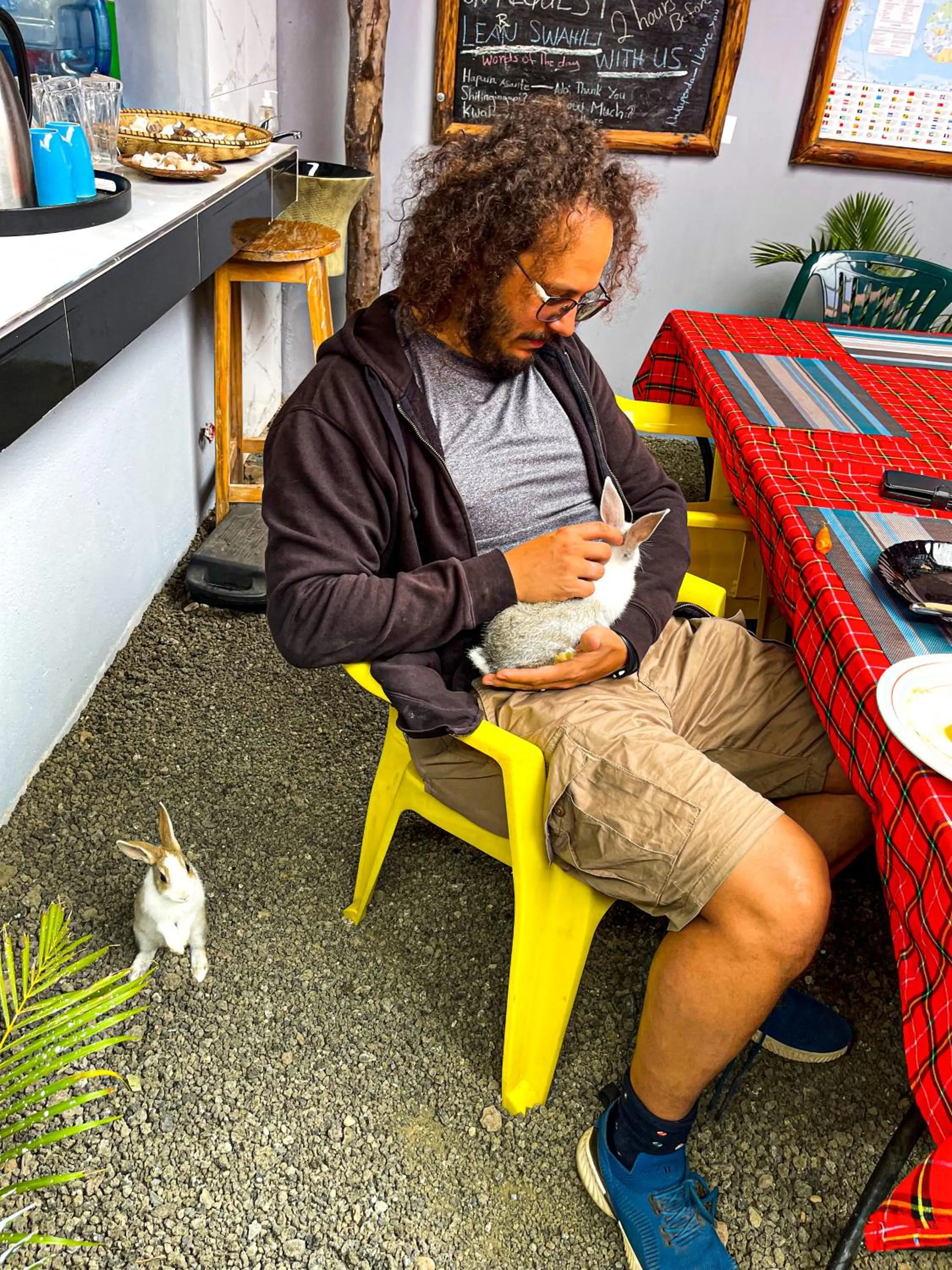 Pets in Home Villa Eco Boutique