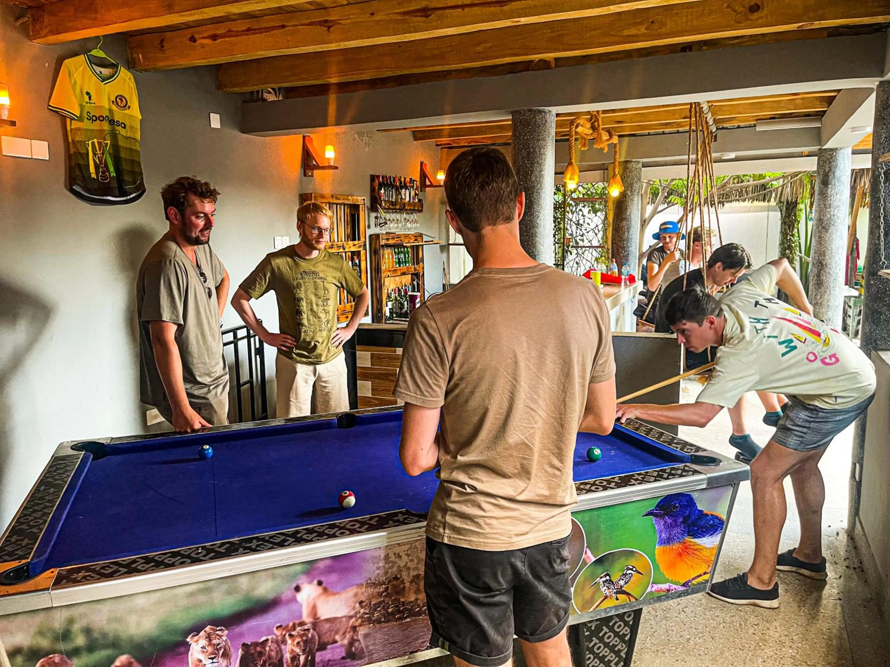 Billiard in Home Villa Eco Boutique