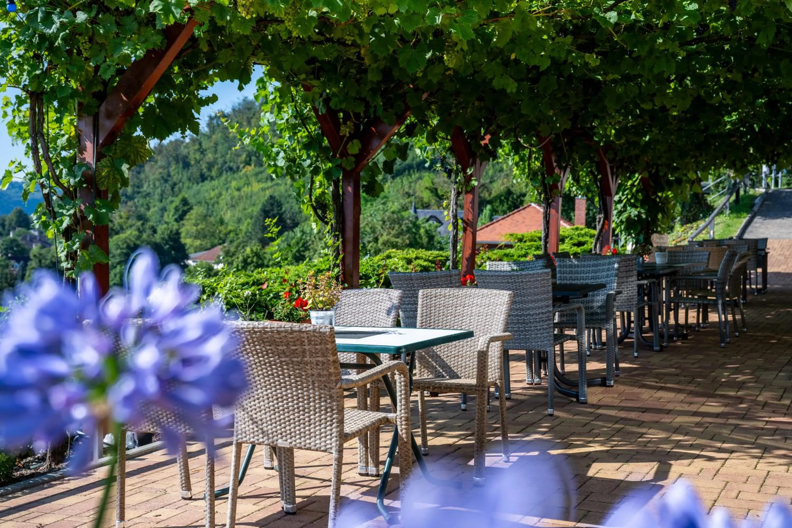 Balcony/Terrace in Flair Hotel Villa Ilske