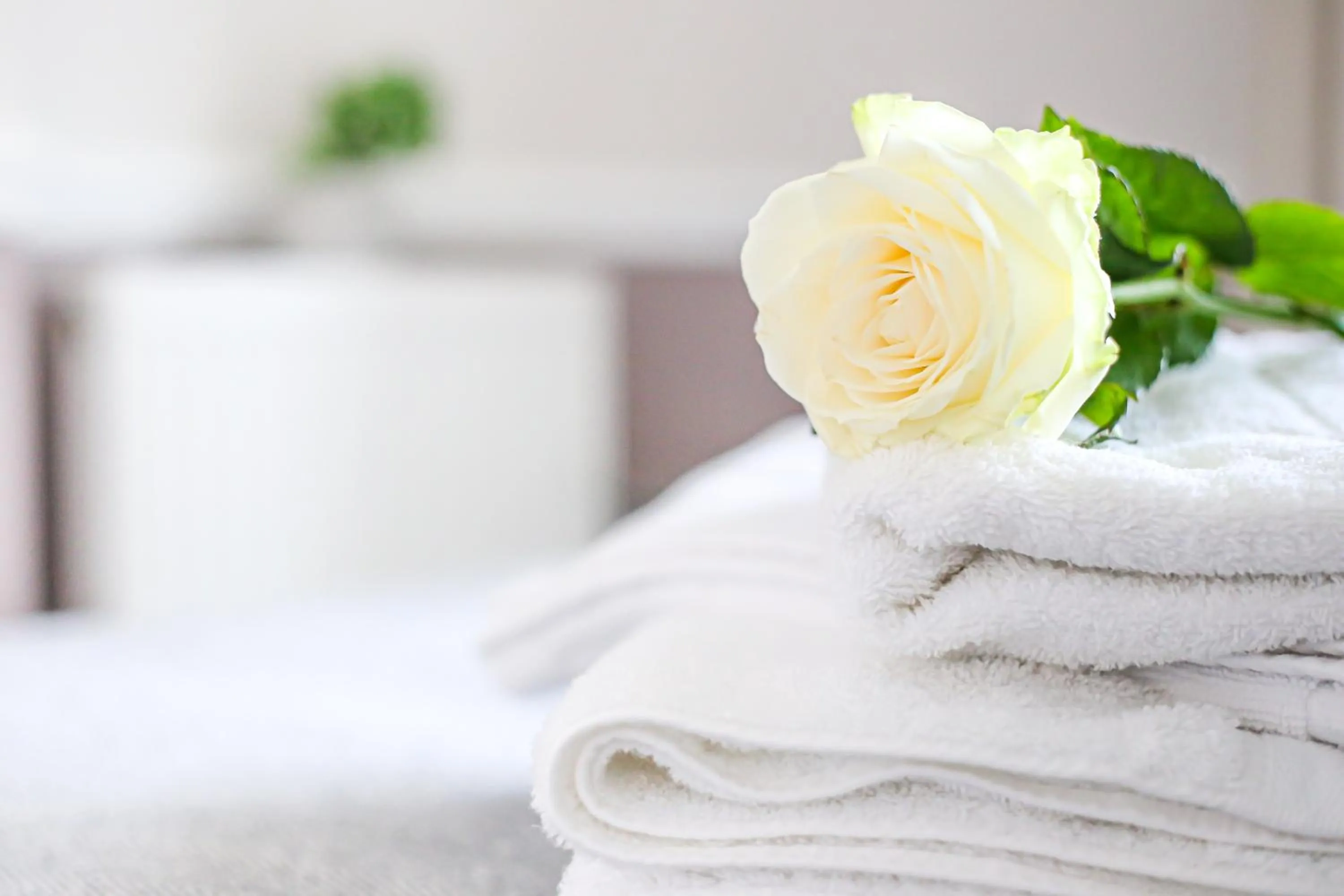 The Wellington Hotel