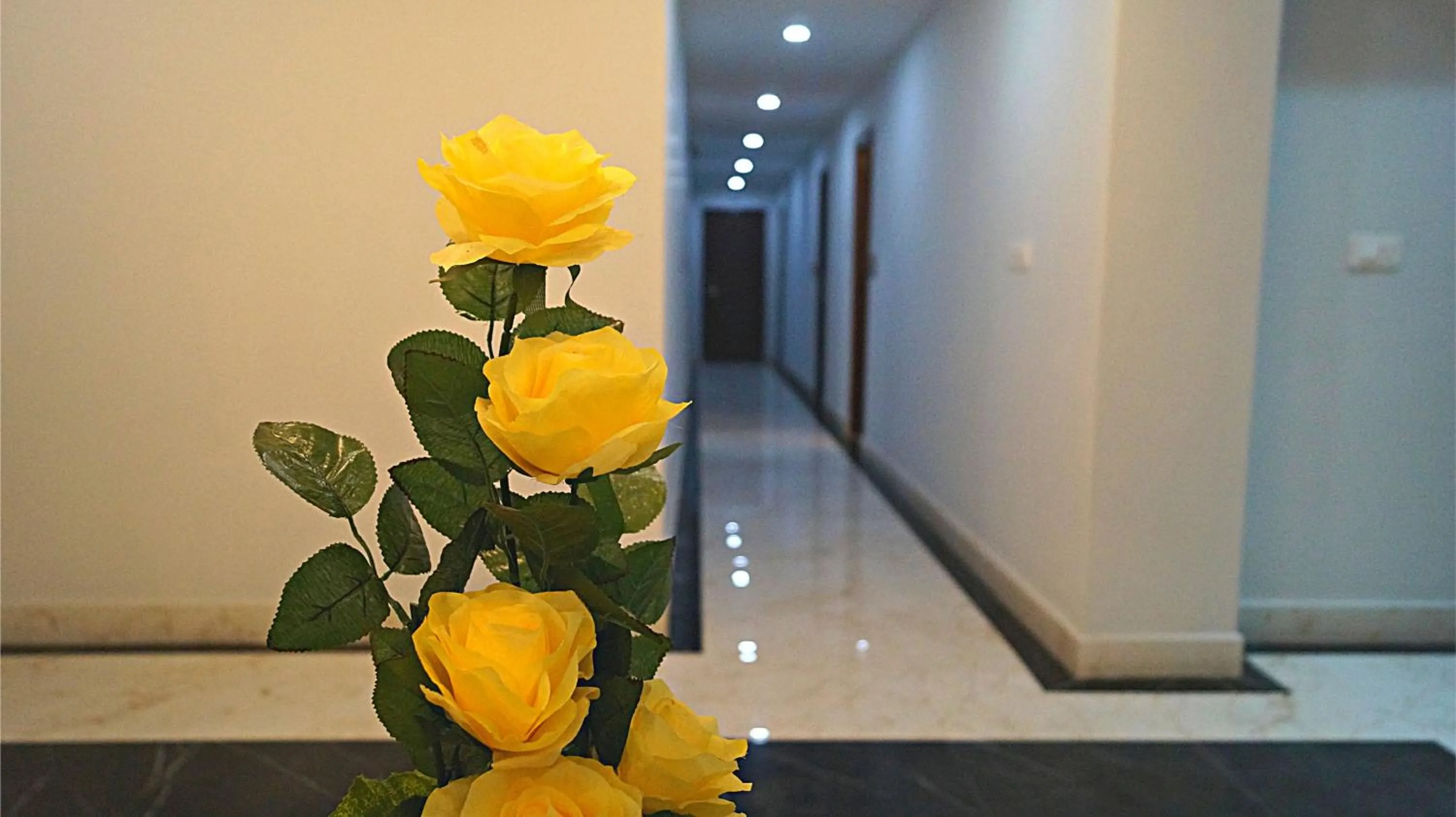 Patio in ShriGo Hotel Gangtok