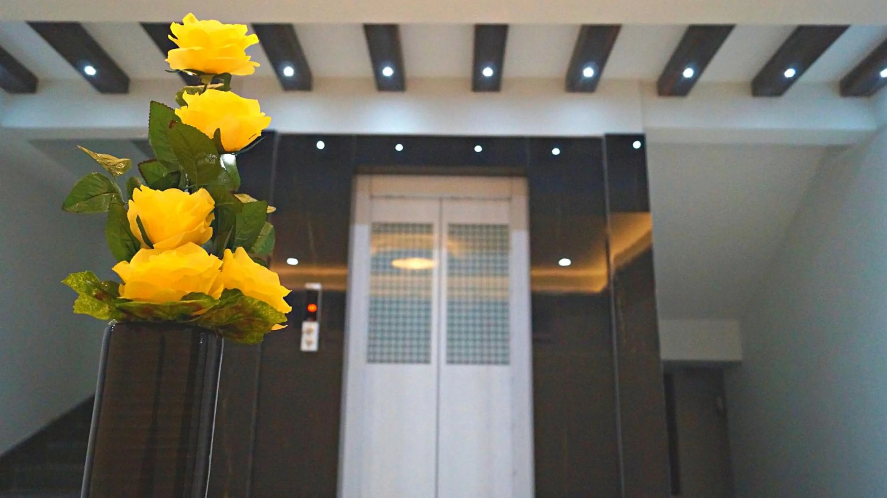 Patio in ShriGo Hotel Gangtok