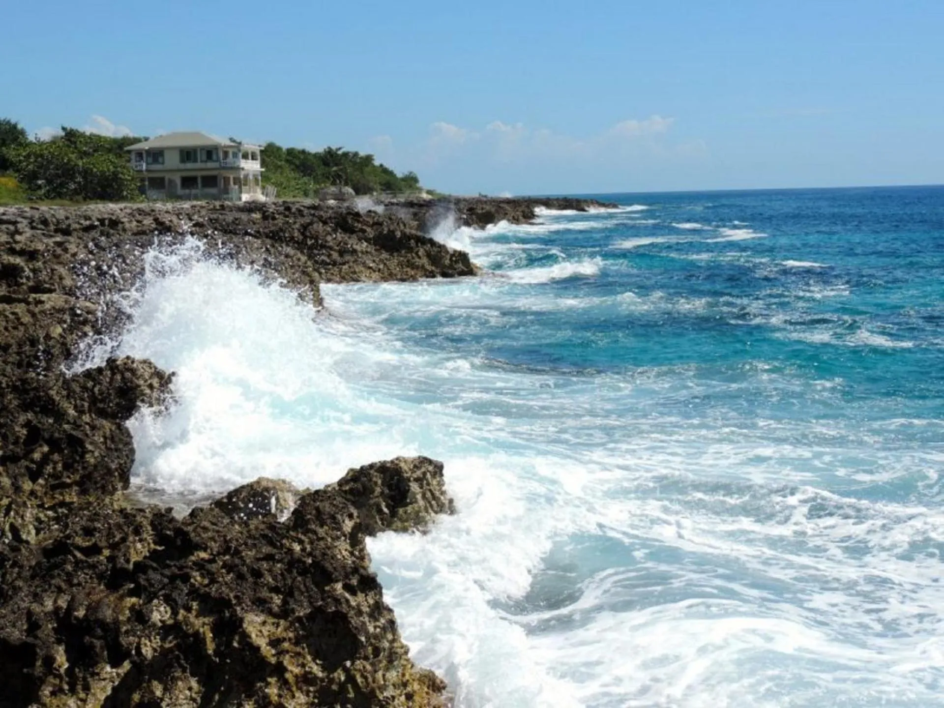 Other in Tingalaya's Retreat