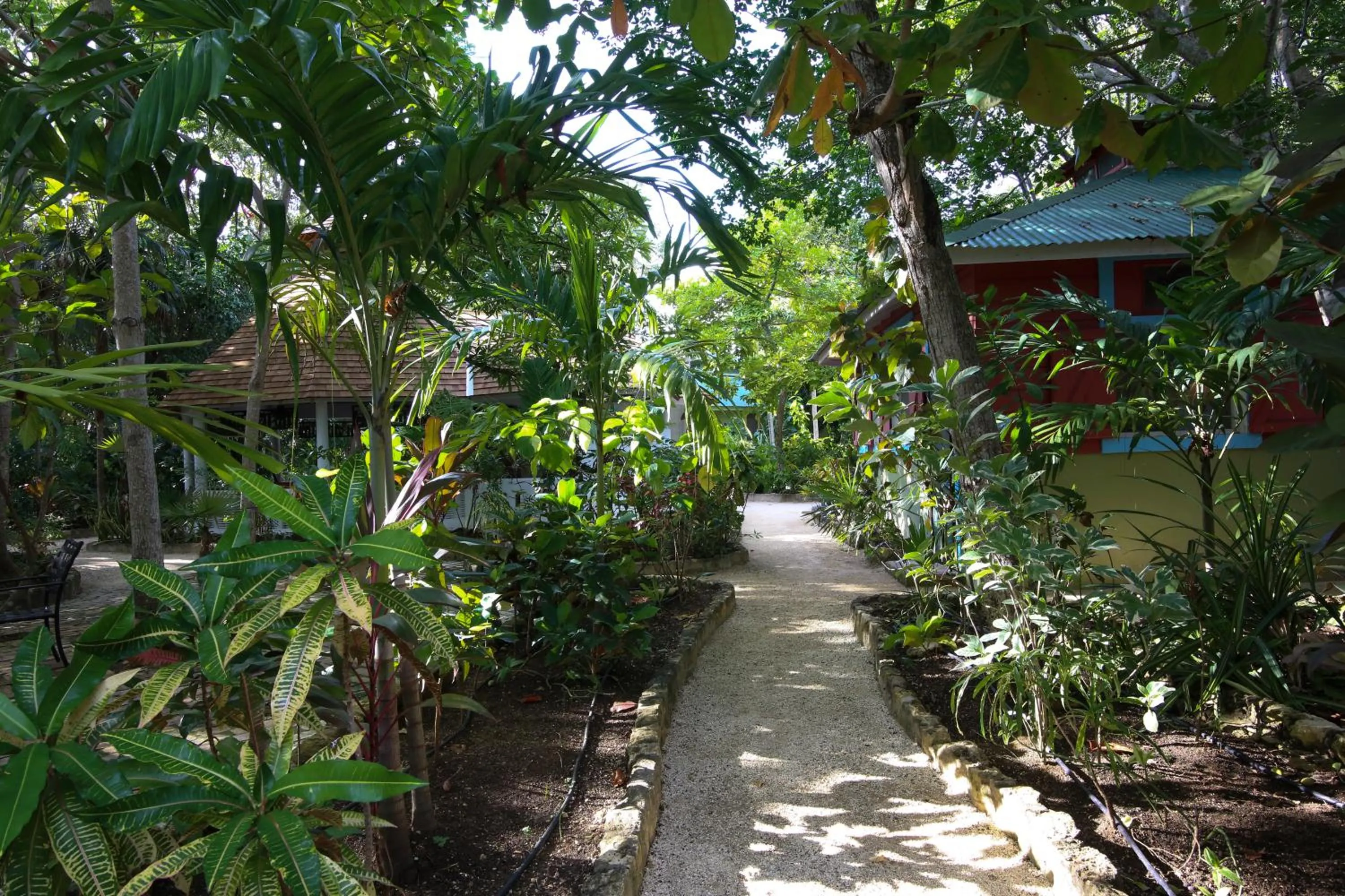 Garden in Tingalaya's Retreat