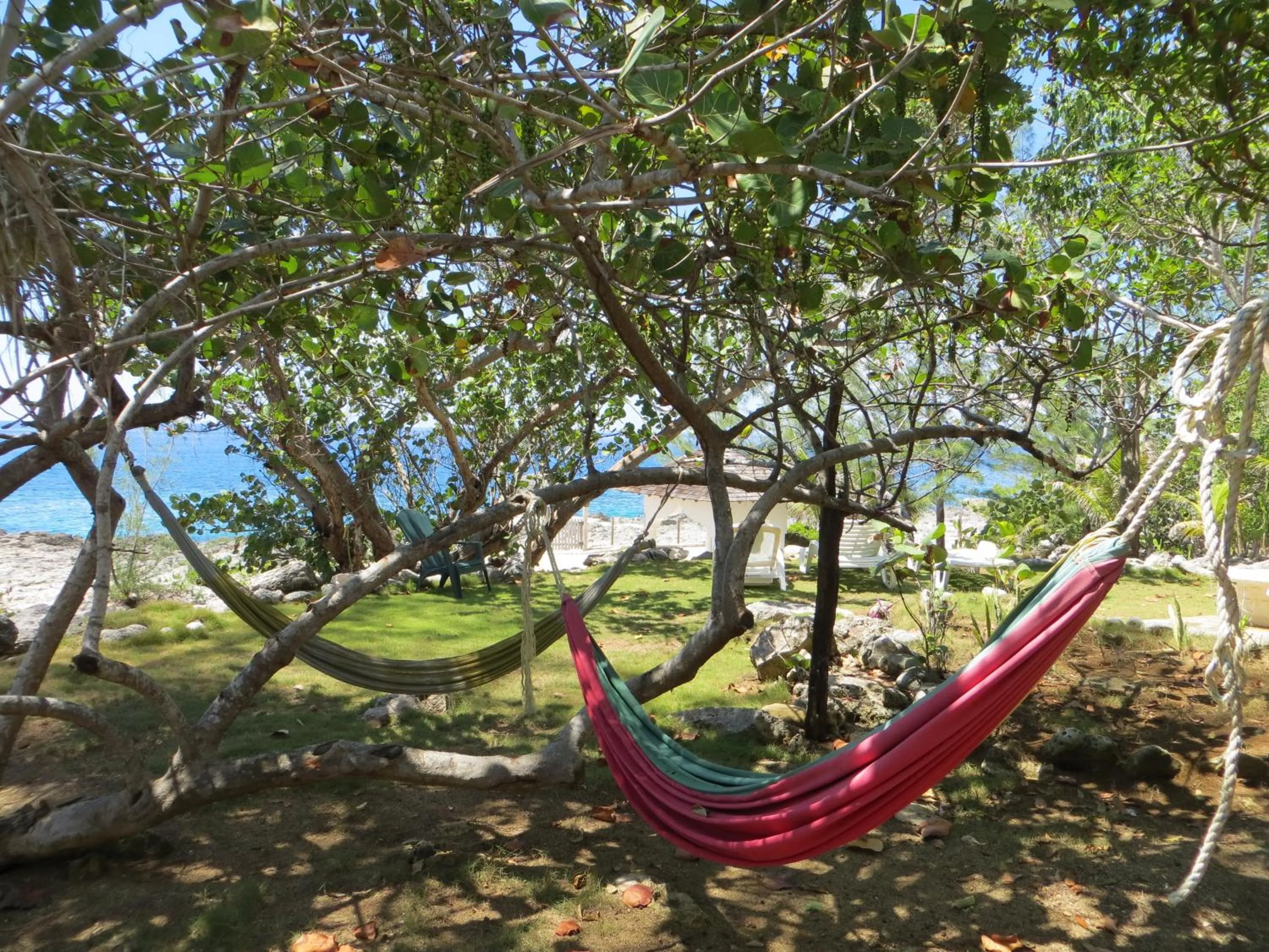 Garden in Tingalaya's Retreat