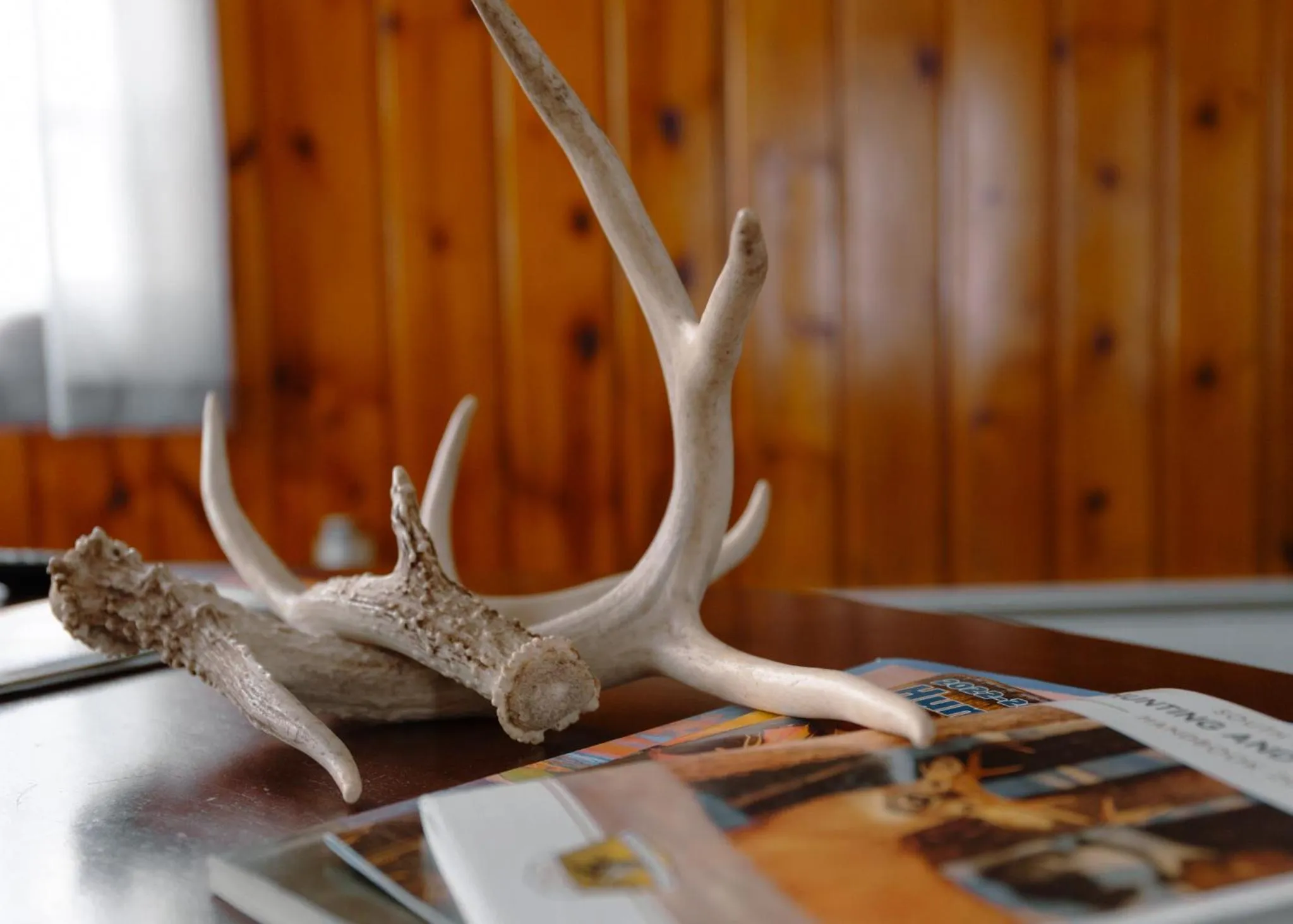 Decorative detail in East Side Motel & Cabins