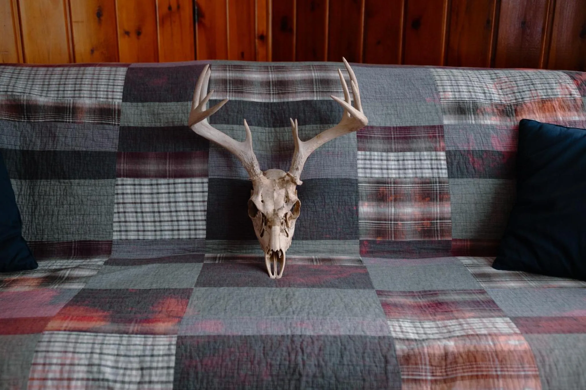Living room in East Side Motel & Cabins