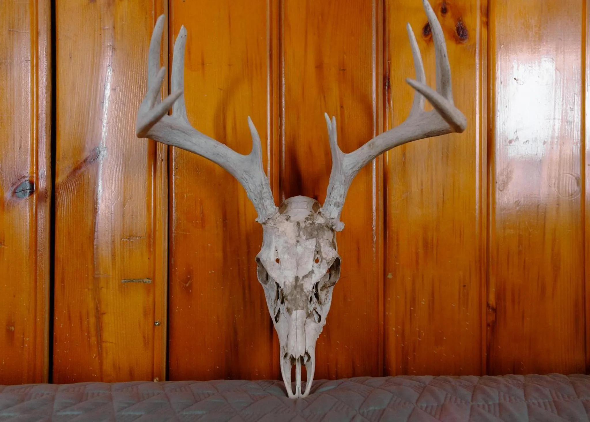 Decorative detail in East Side Motel & Cabins