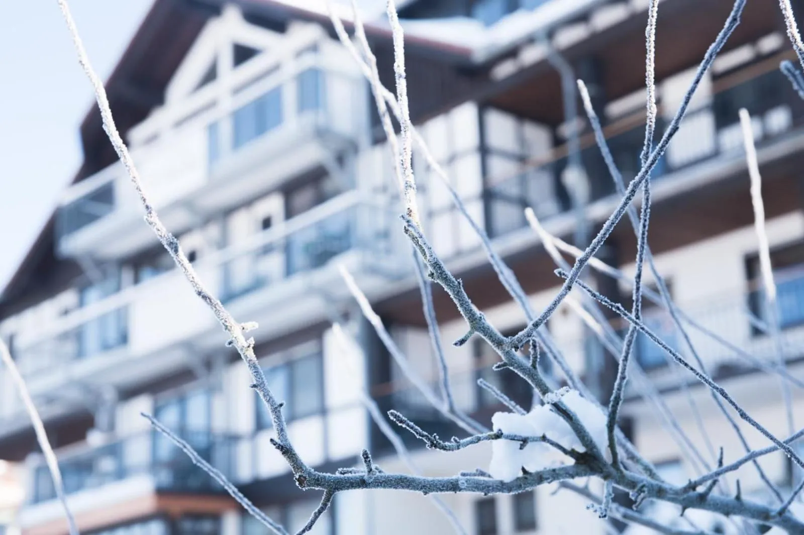 Property building in Hotel Tannenhof