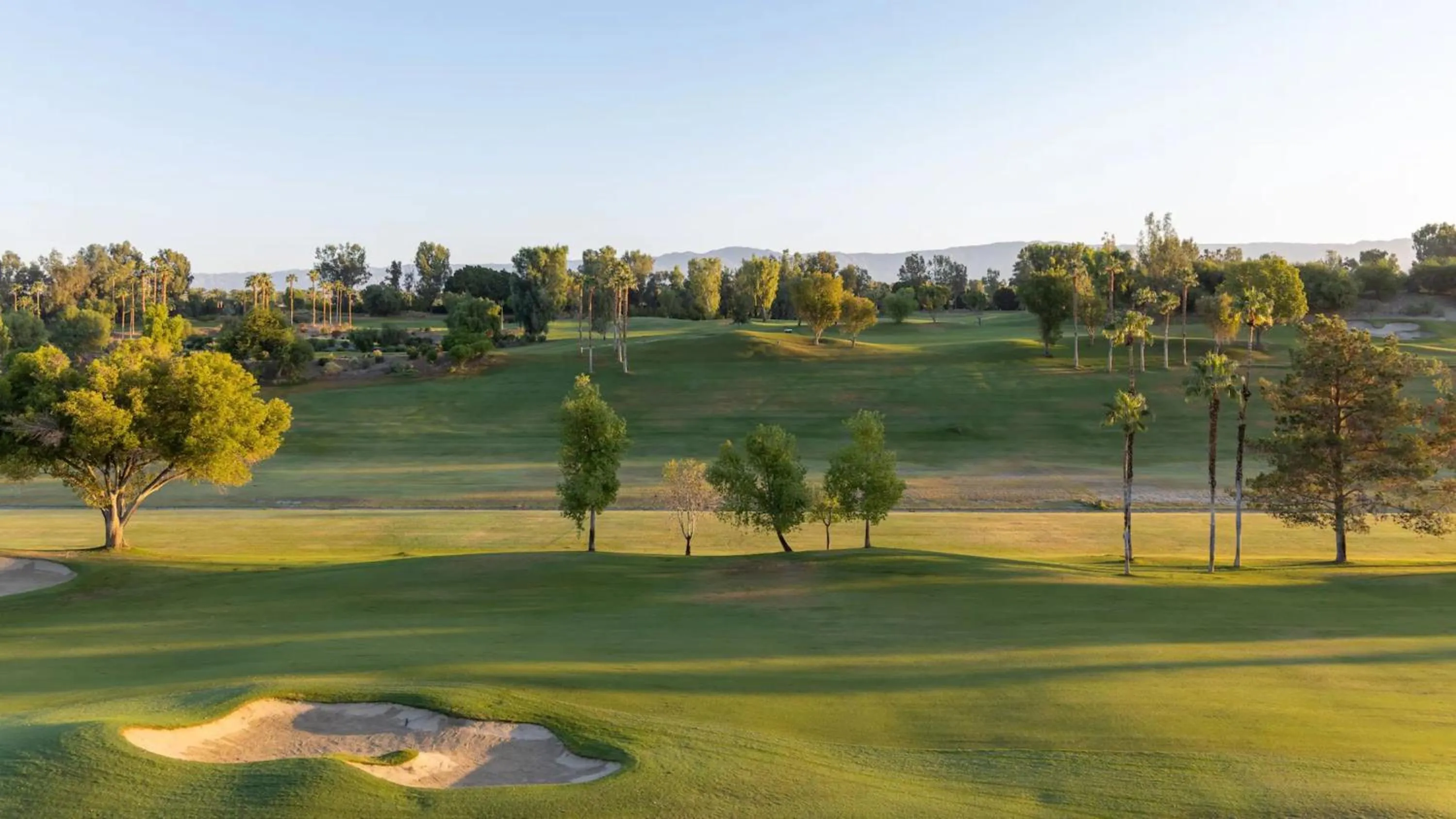 Natural landscape in Grand Hyatt Indian Wells Resort & Villas