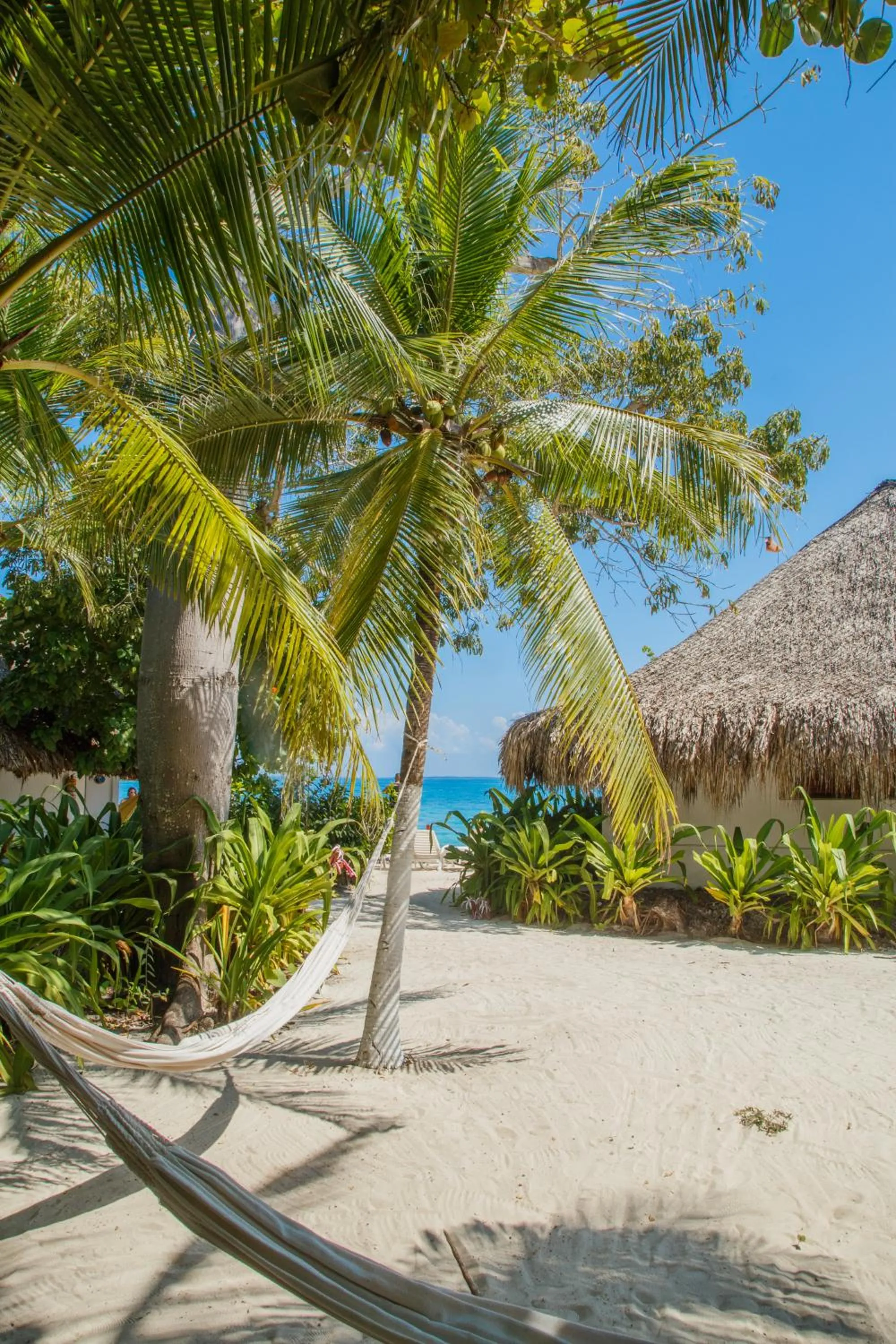 Sea view in Hotel Isla Del Pirata