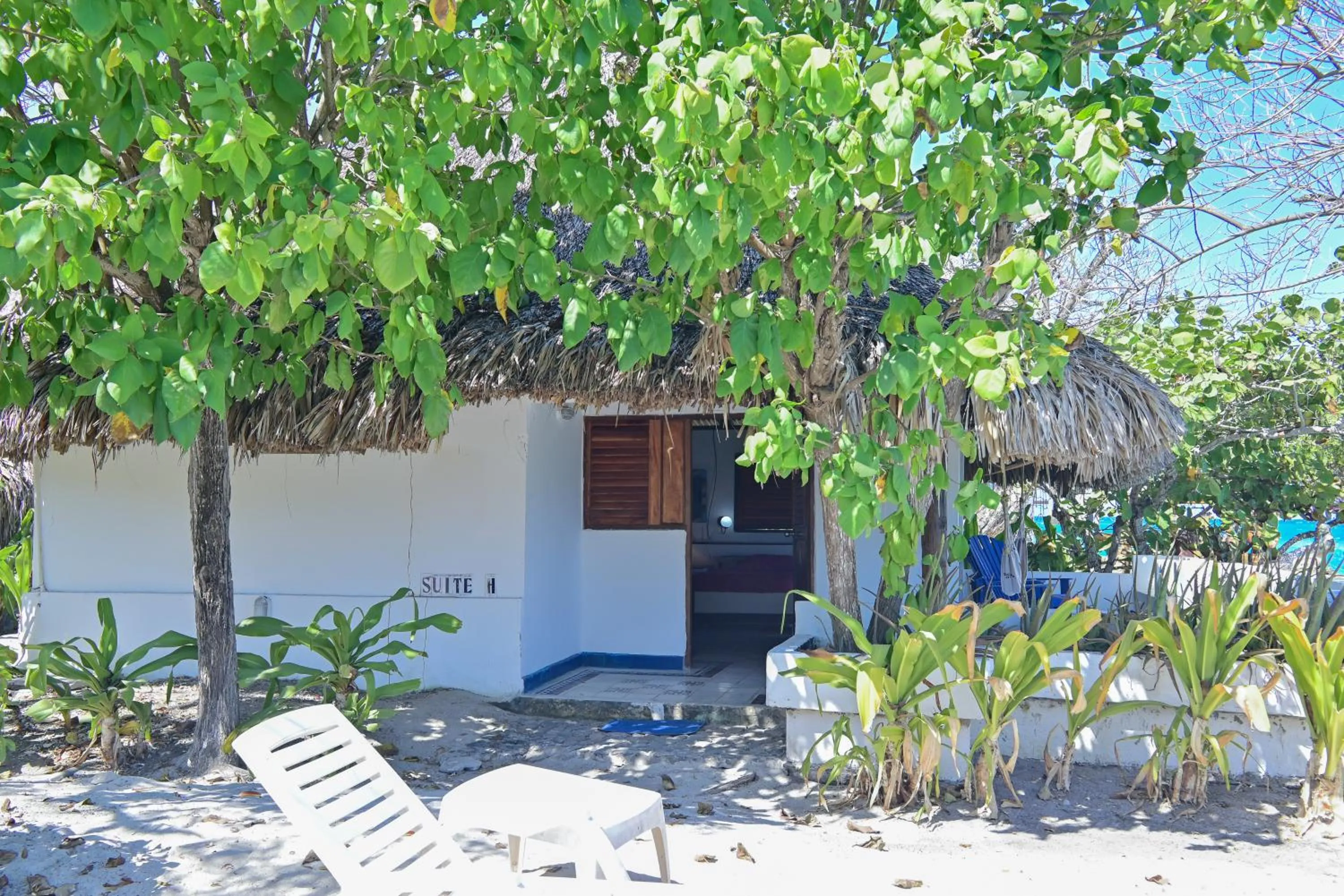 Balcony/Terrace in Hotel Isla Del Pirata