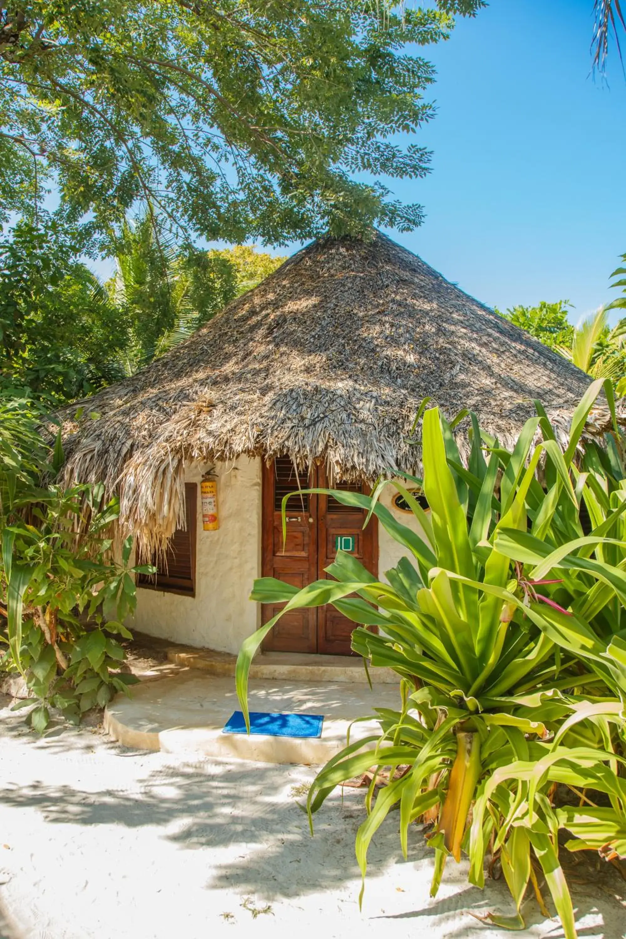 Standard Bungalow in Hotel Isla Del Pirata Standard Bungalow in Hotel Isla Del Pirata