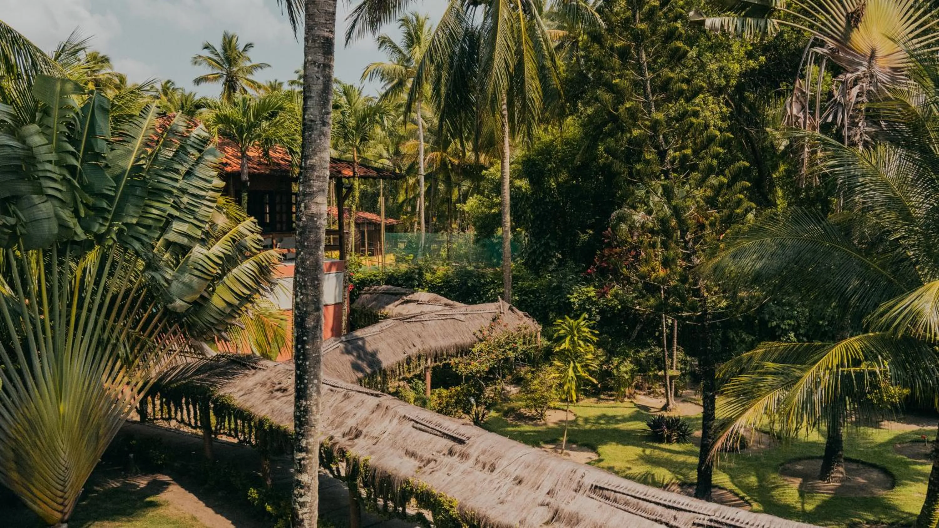 Garden view in Hotel Porto do Zimbo