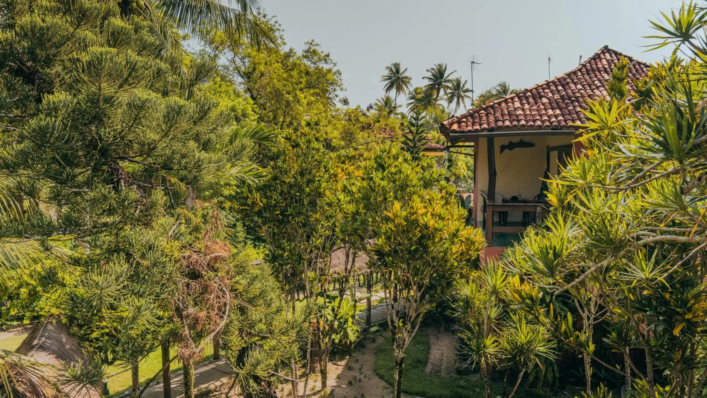 Day in Hotel Porto do Zimbo