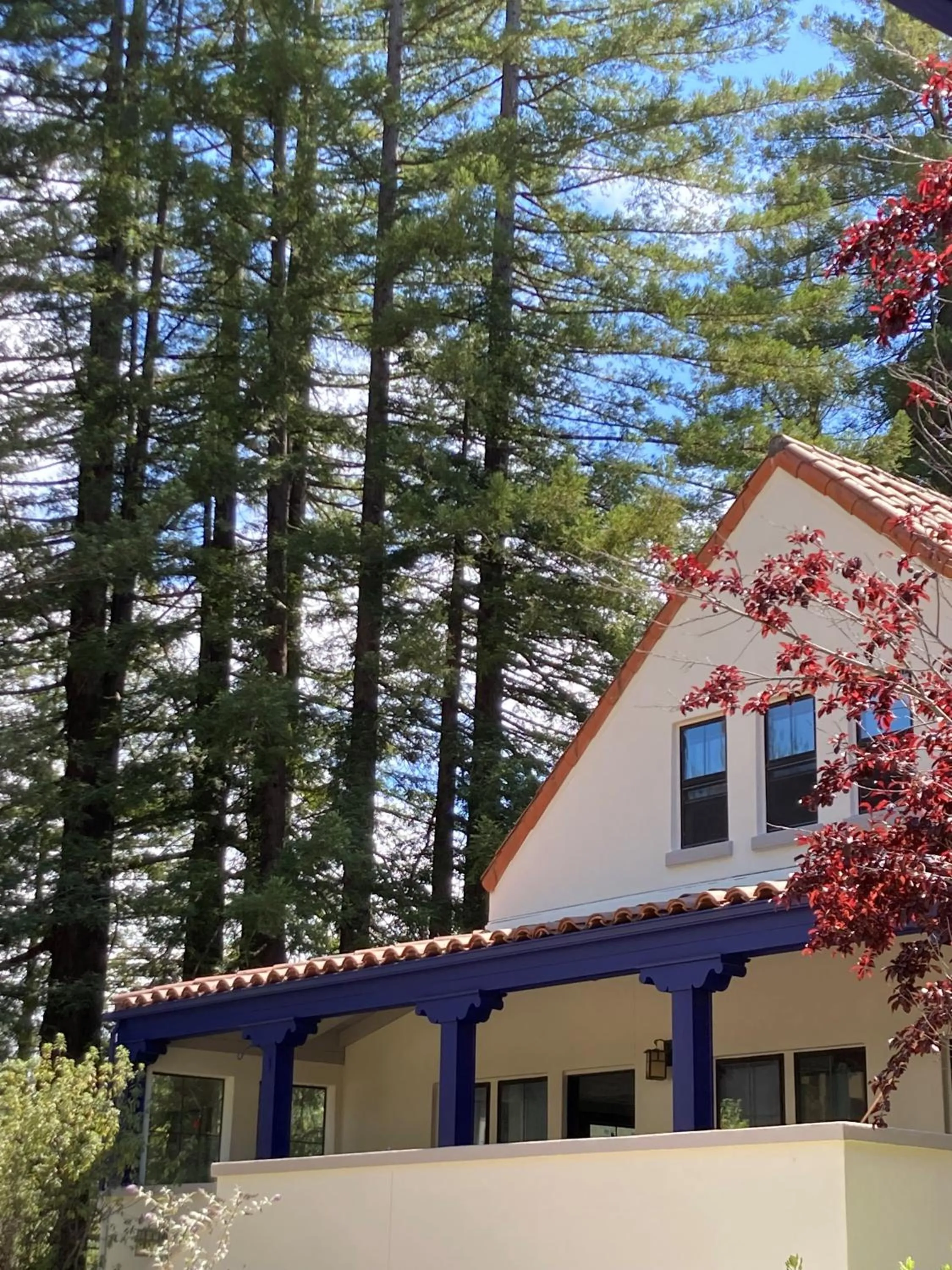 Property building in The Stavrand