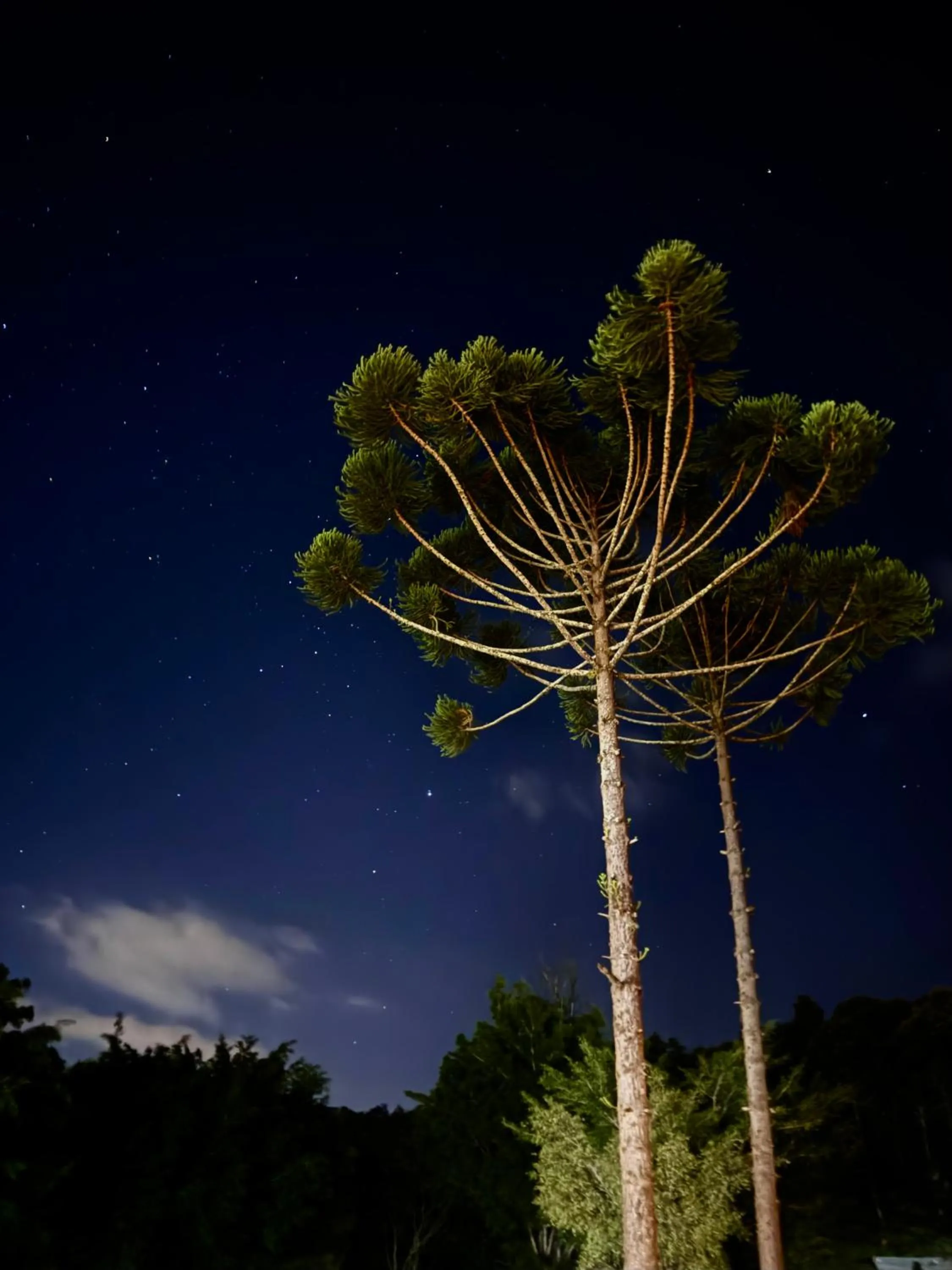 Night in Hotel Campestre Atibaia