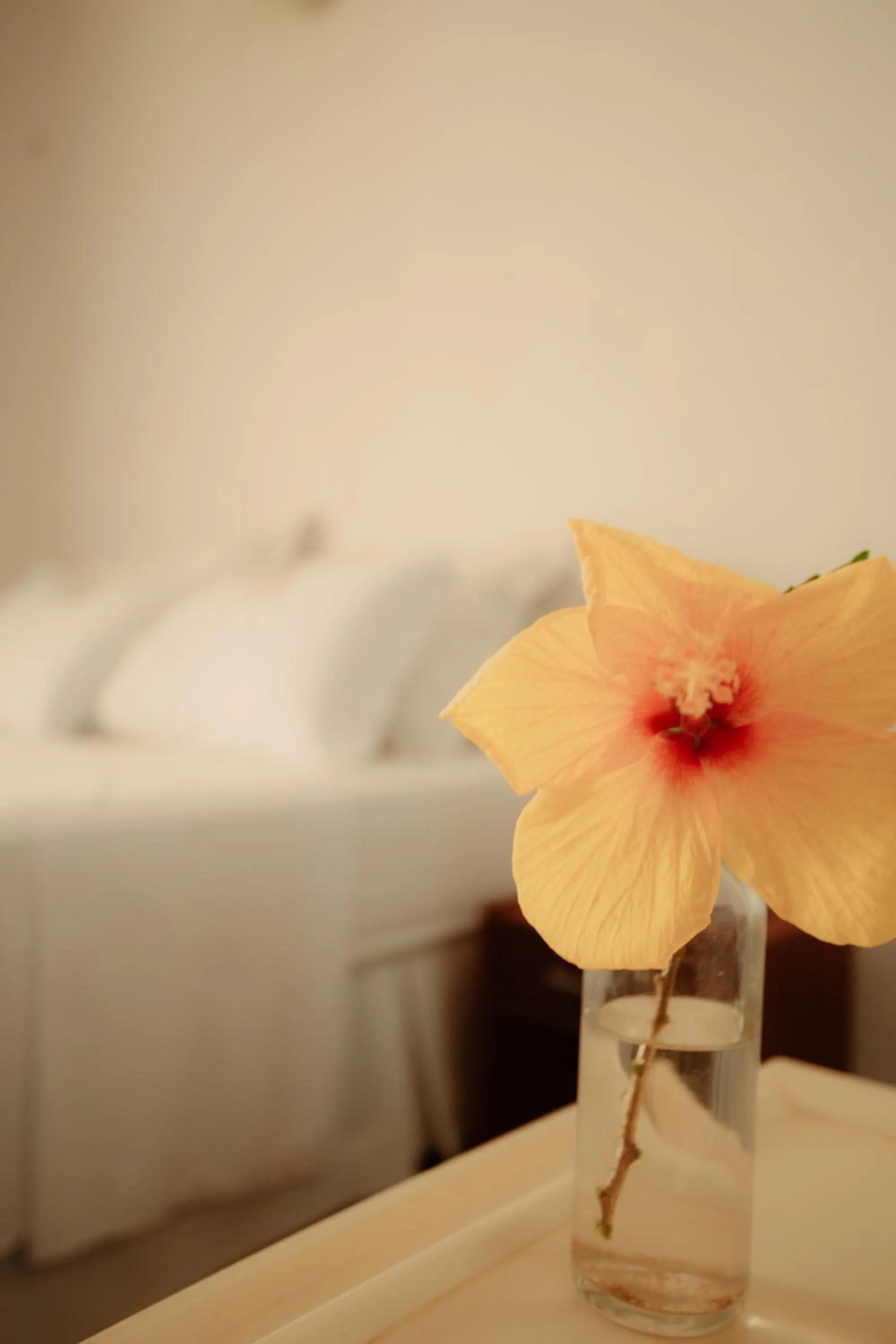 Decorative detail, Bed in Pousada Doromari