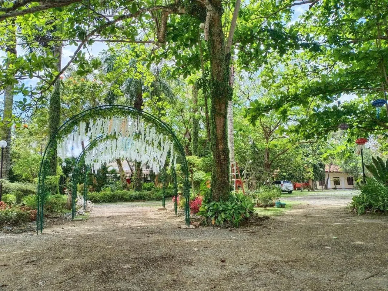 View (from property/room) in RedDoorz Plus @ Costa Roca Balamban