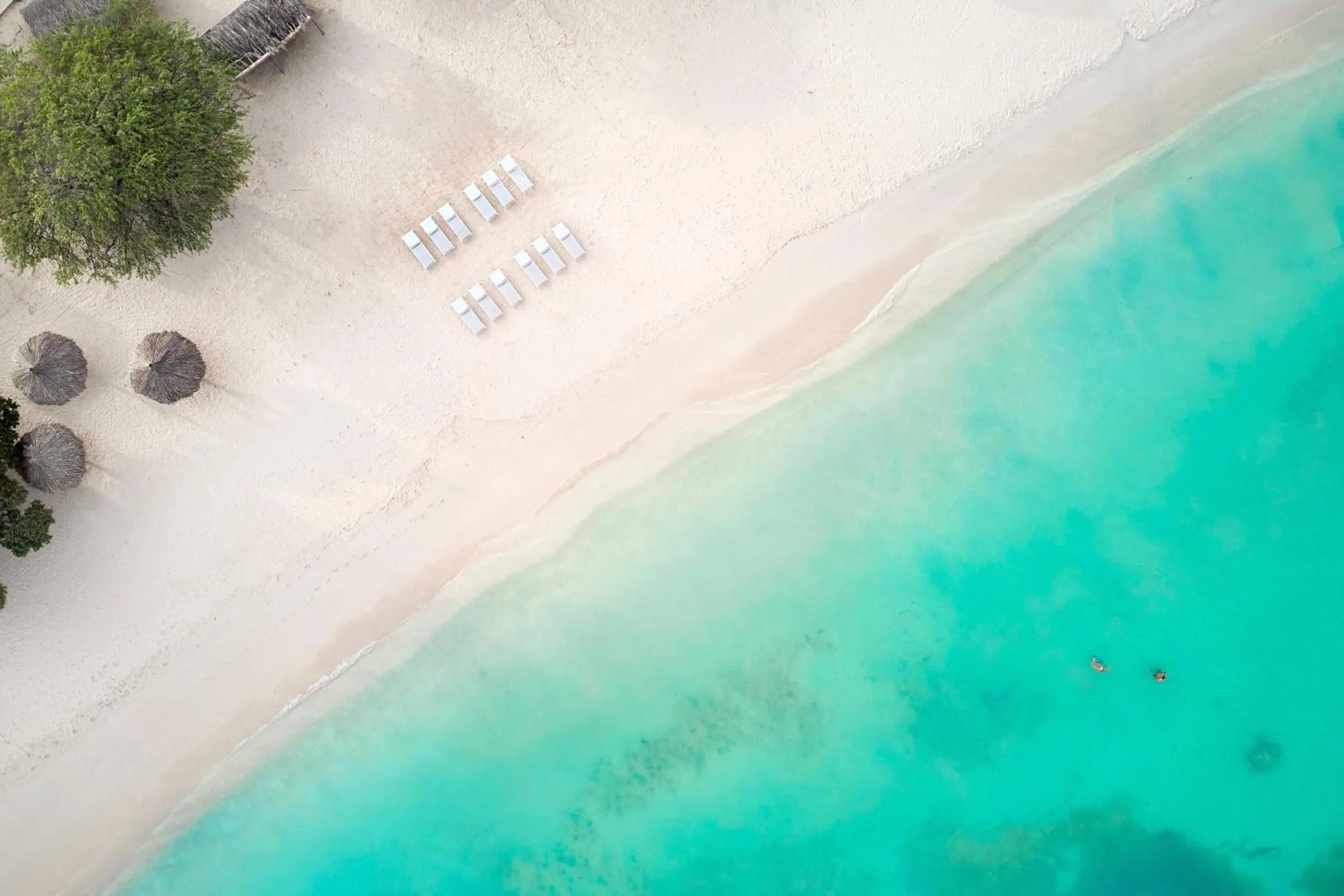 Beach in Courtyard by Marriott Aruba Resort