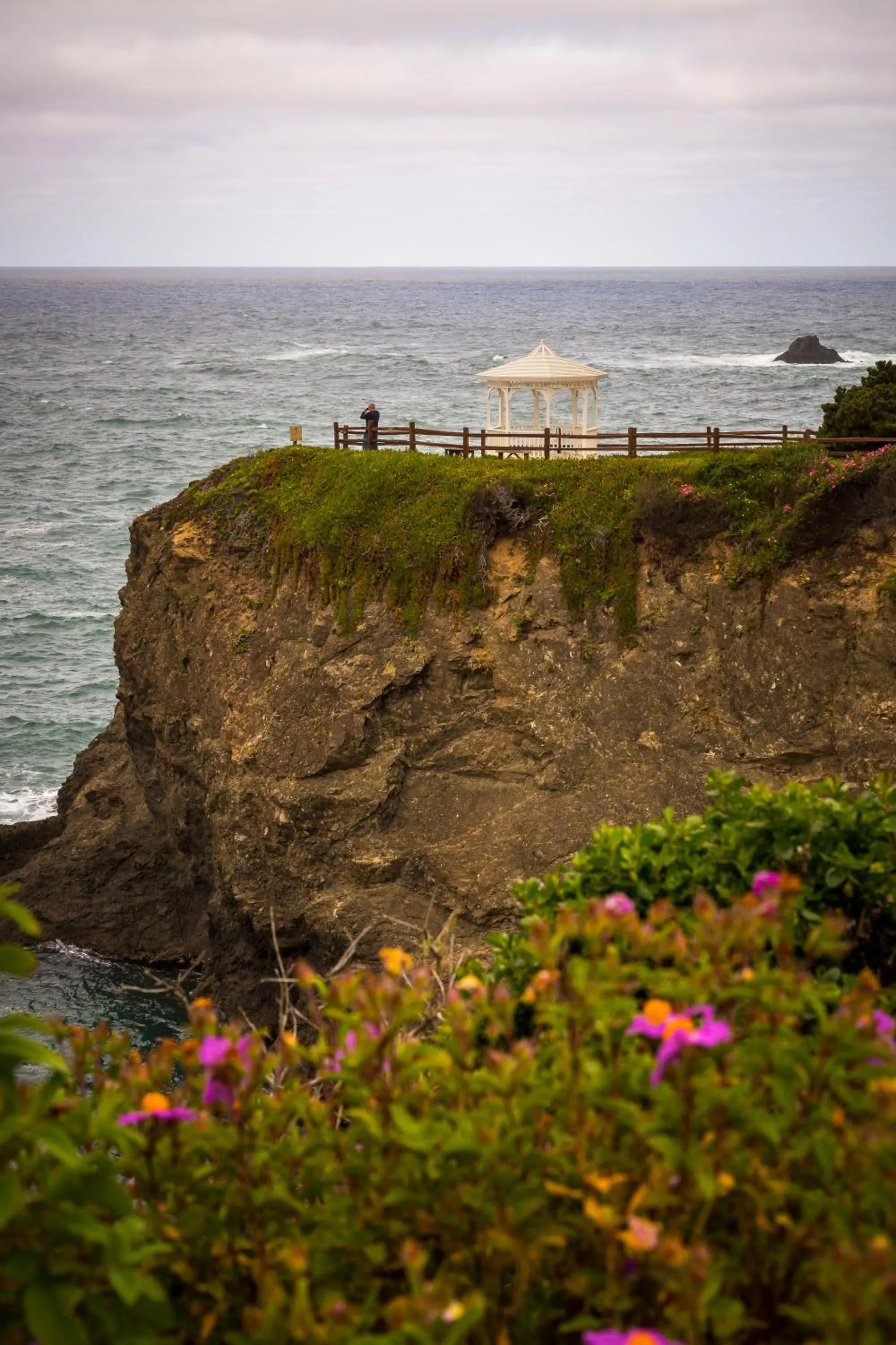 Natural landscape in Heritage House Resort & Spa