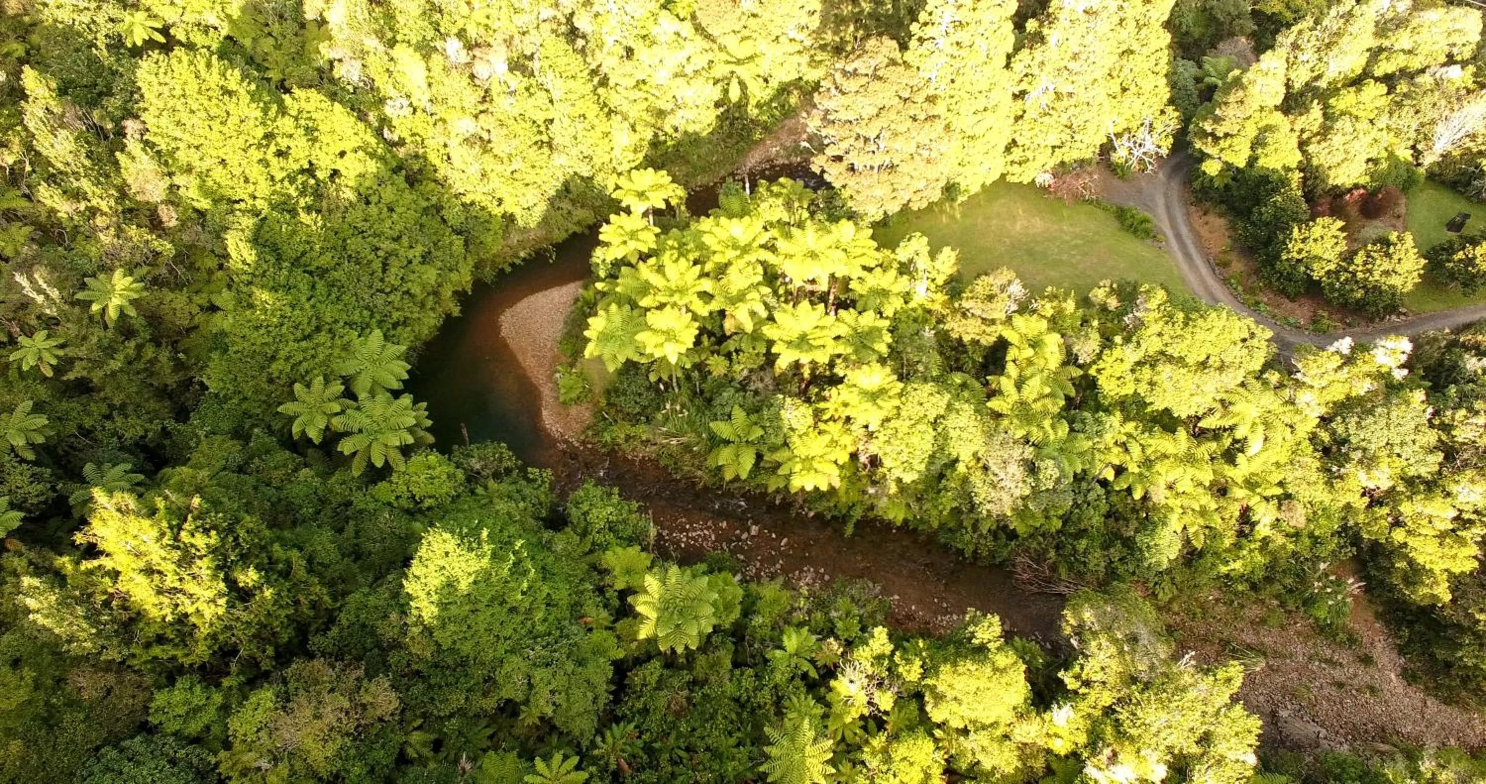 Bird's eye view in Wairua Lodge - Rainforest River Retreat