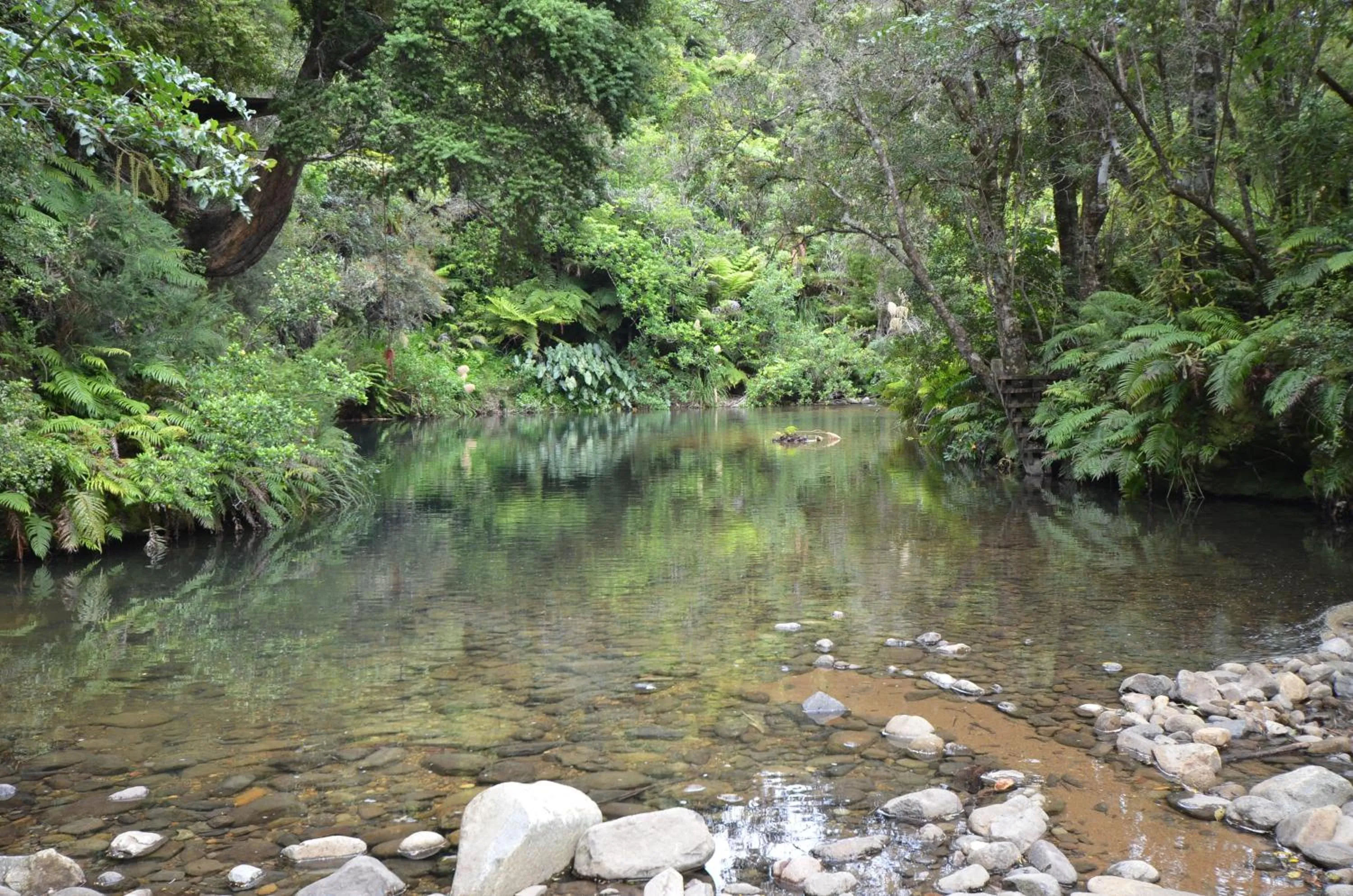 Garden in Wairua Lodge - Rainforest River Retreat